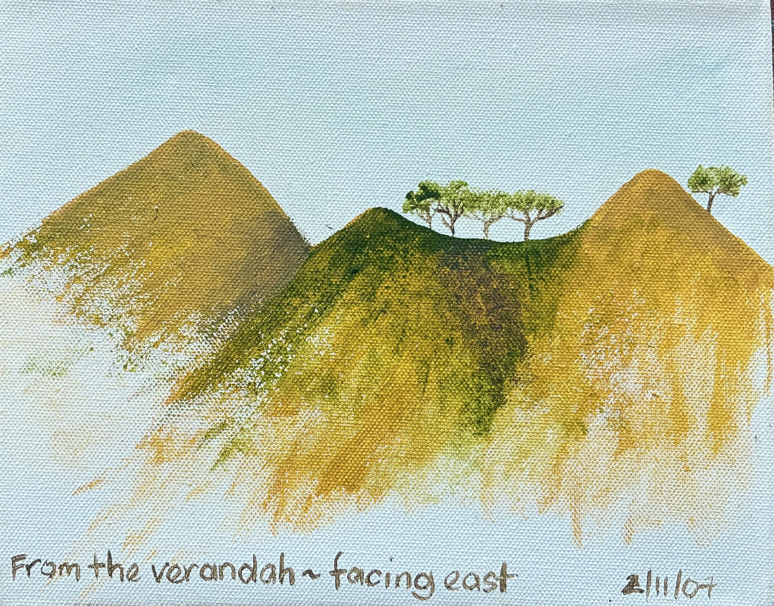 19. 2:11:07 From verandah - facing east.jpg