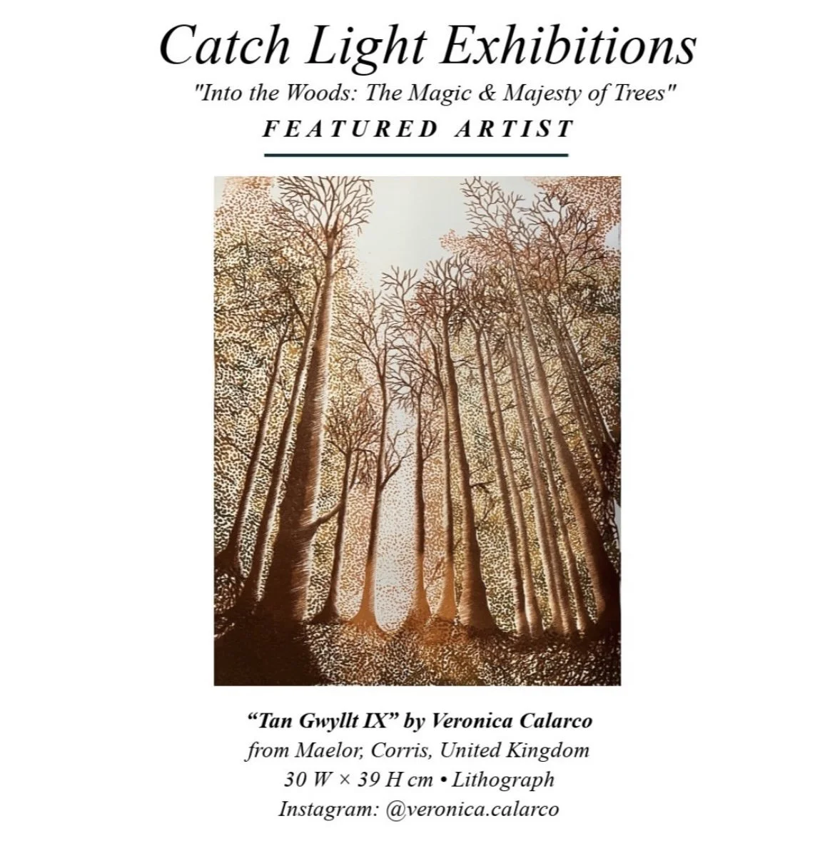 Promotion for exhibition with a lithograph of trees
