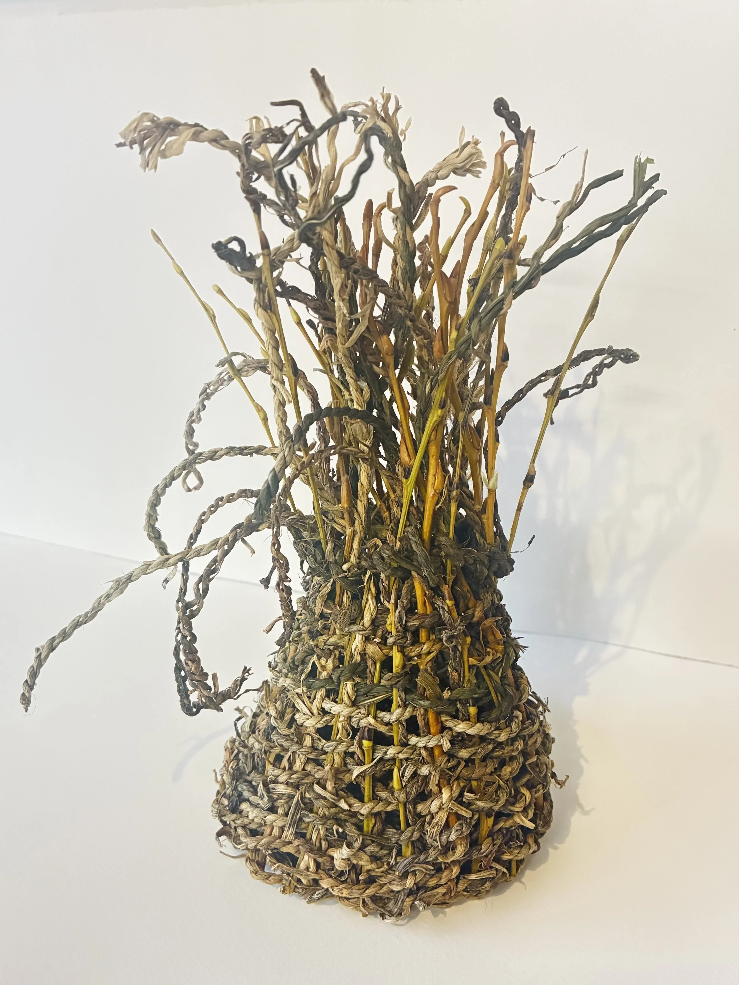 Clifford Chambers, cordage and willow 1.jpeg
