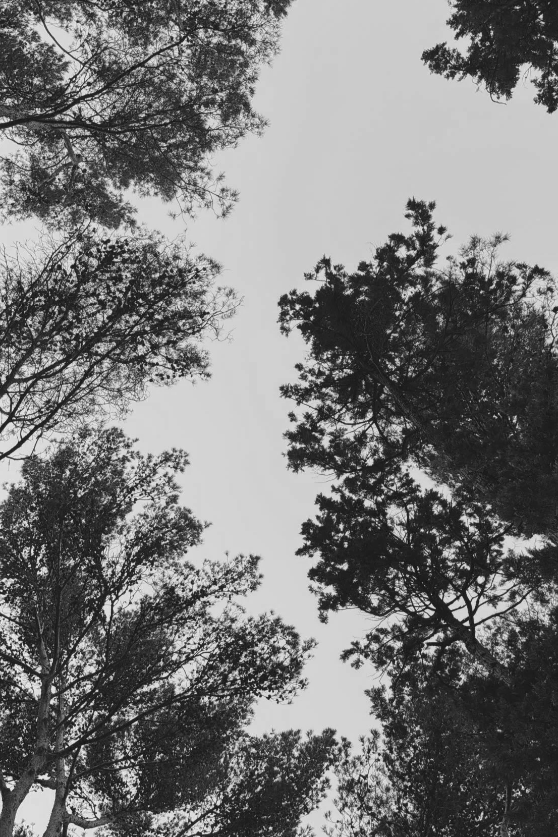 Uma ode aos materiais naturais