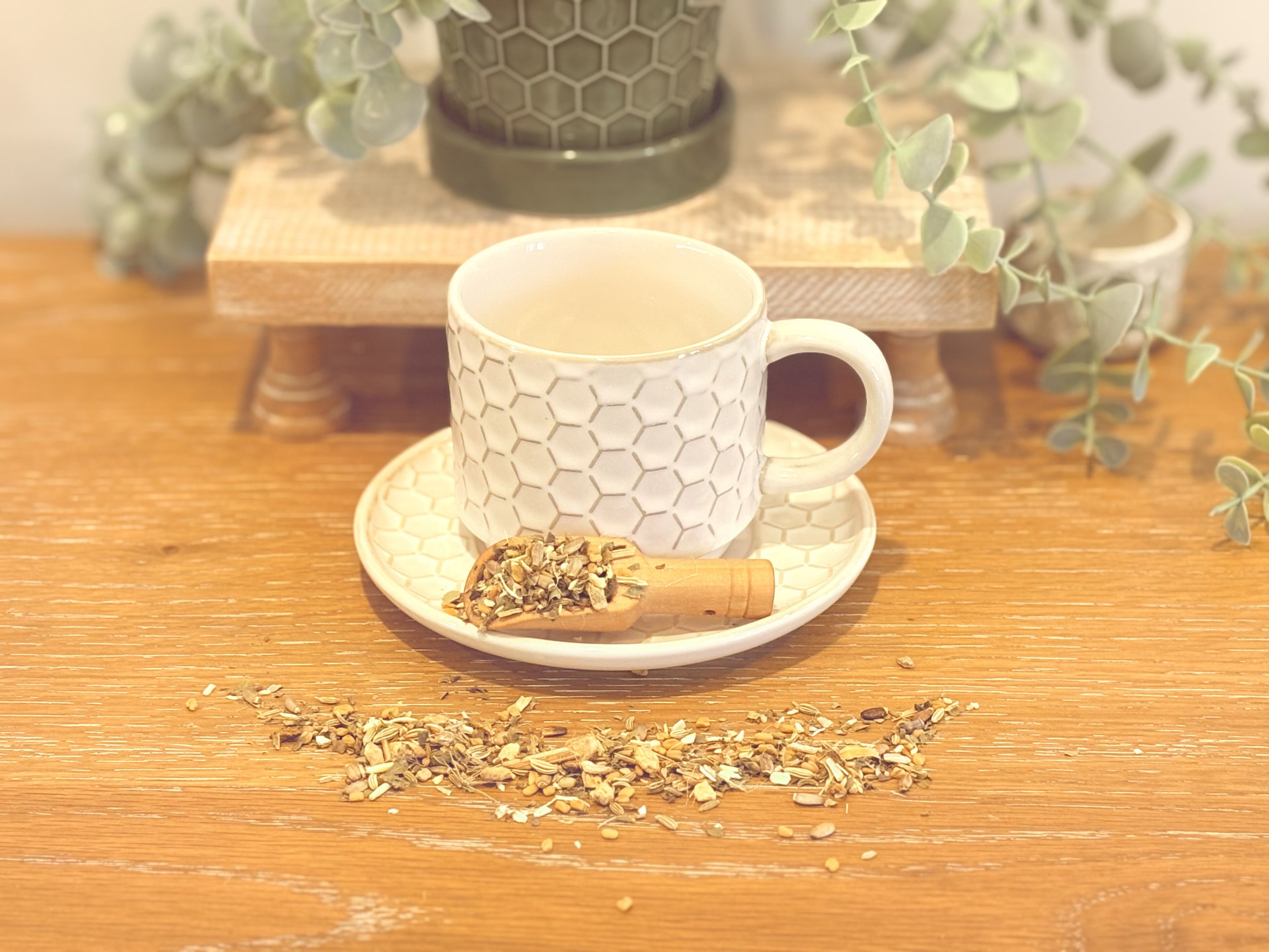 Lactation Support.jpg