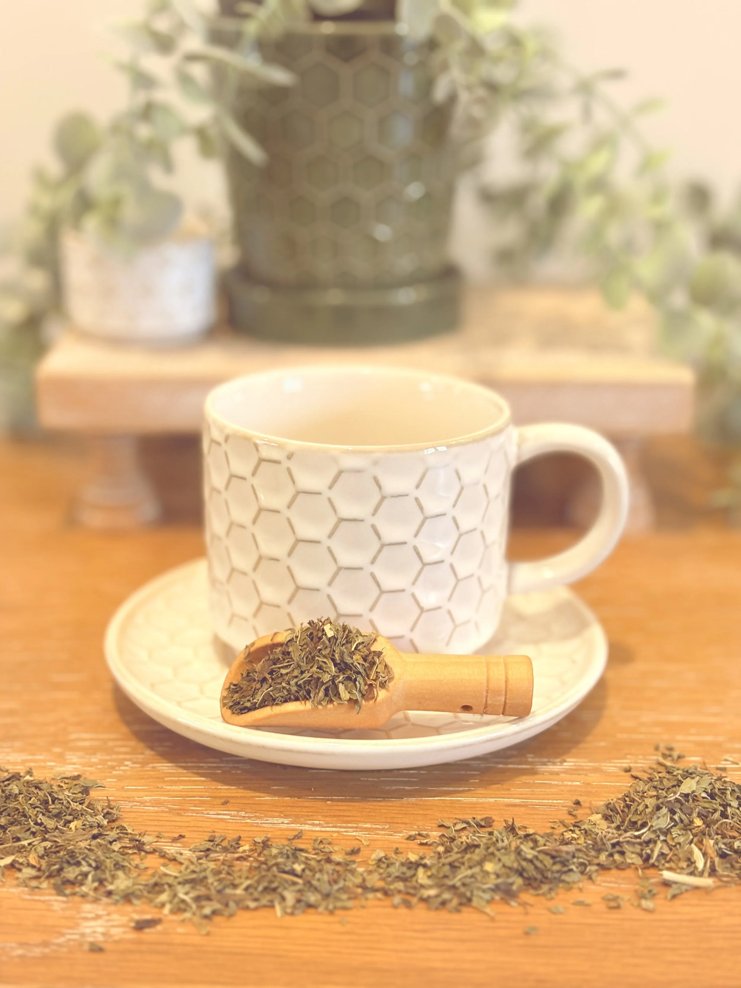 Spearmint Leaf Tea