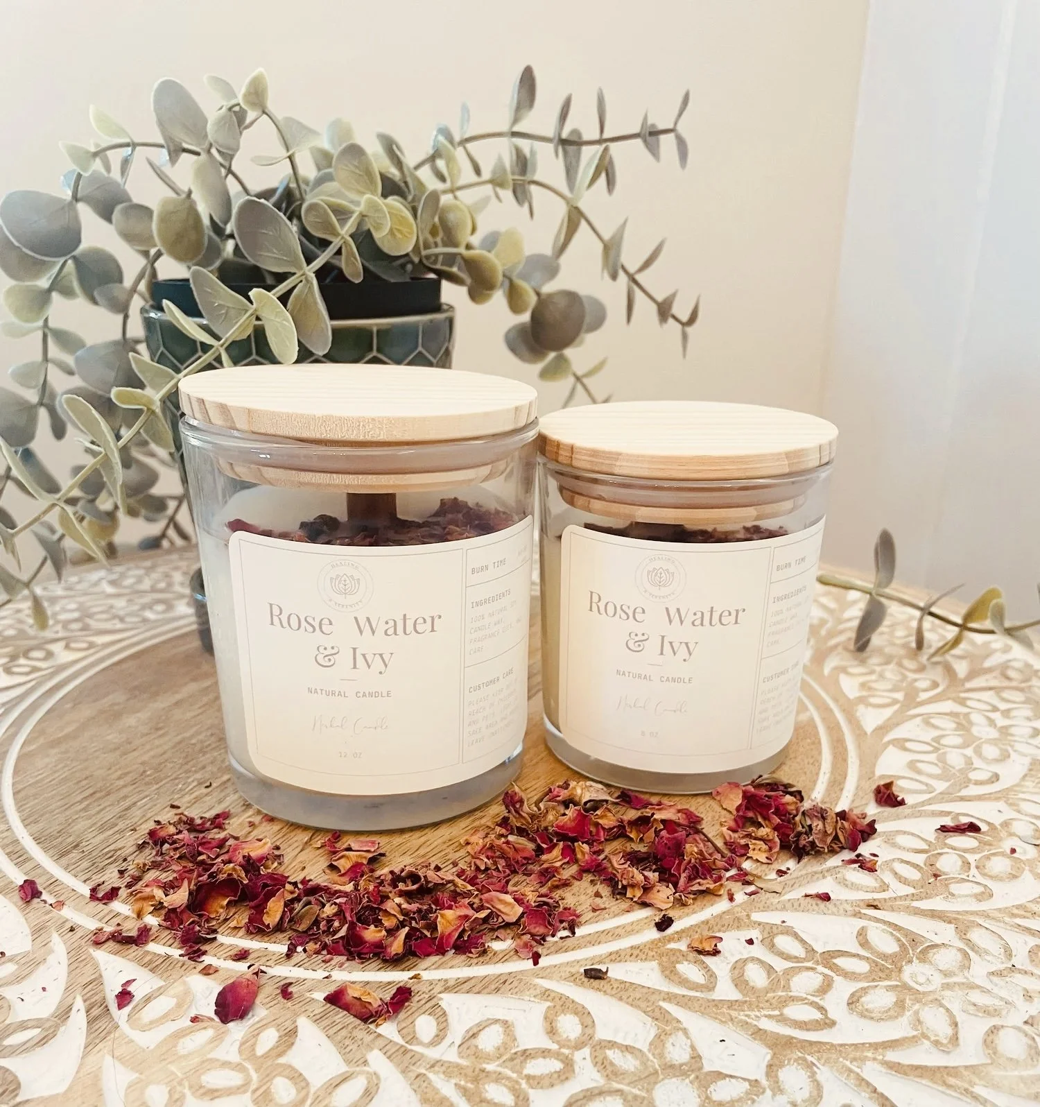 Rose Water & Ivy Candle