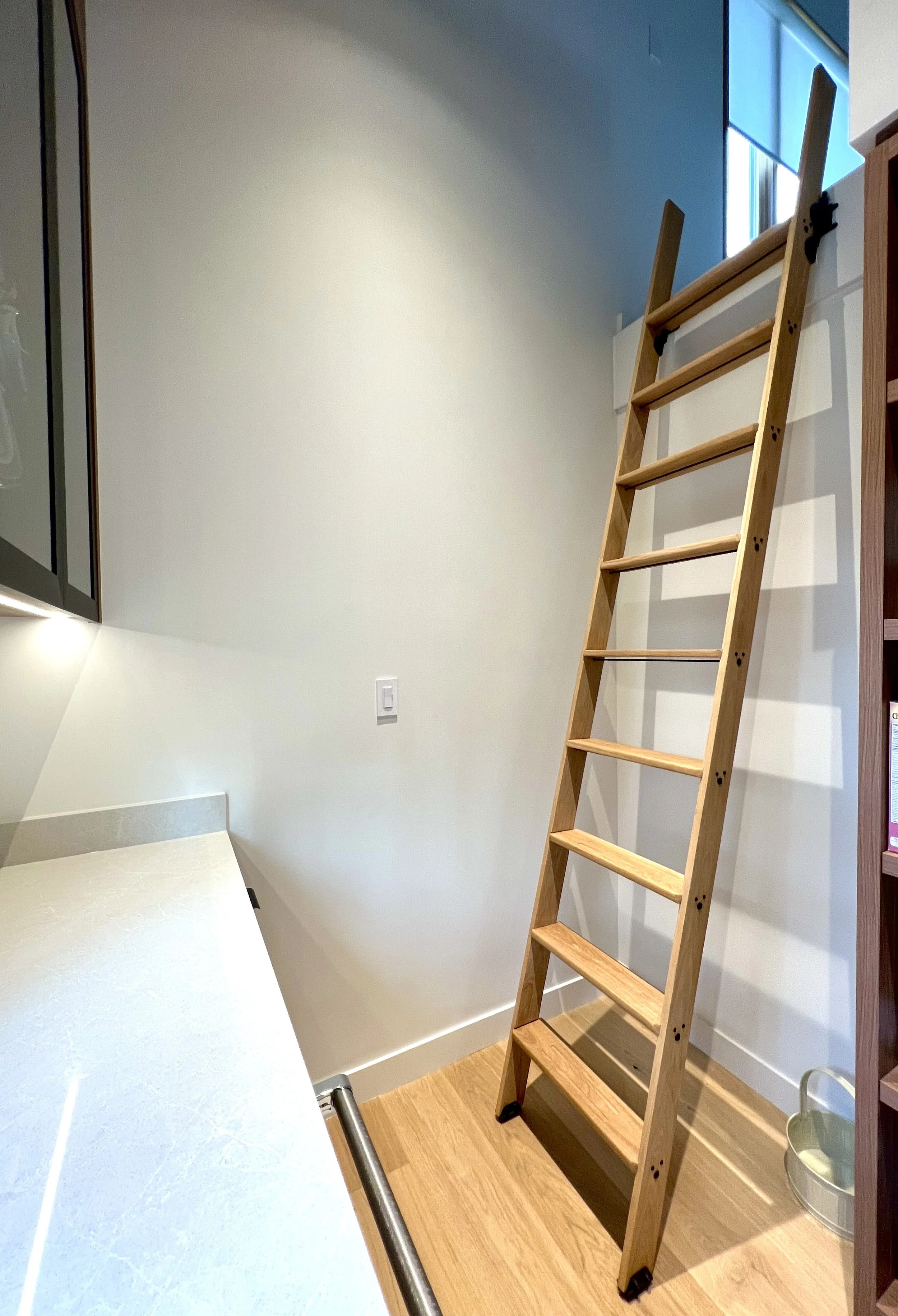 image_50441217.JPG