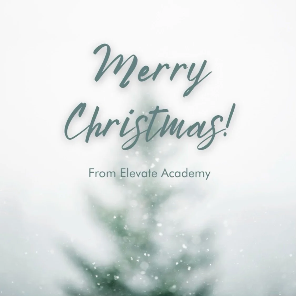 Wishing you all a wonderful holiday season! Best wishes for a happy and healthy new year!

Love,
Katie, Amanda, + Holly

#advancedschool #aesthetics #cosmetology
