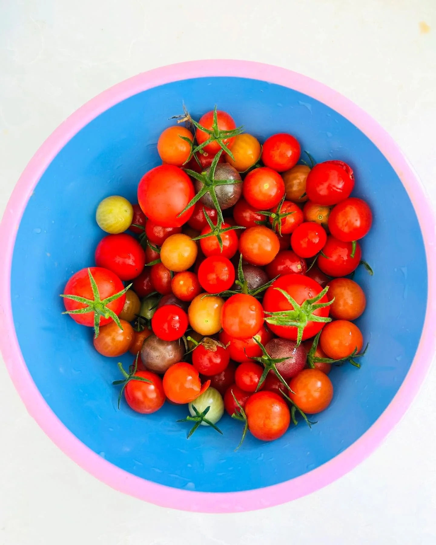 Harvest #gemmabrothers#handmade#pottery#handmadeisbest#bristolmaker#interiordesign#interiorideas#homestyling#interiorinso#eclectricinteriors#bristolinteriordesigner#ilovetomake#gemma_brothers#allthehastags#letthefunbegin#joyofcolor#styling#maker#shak