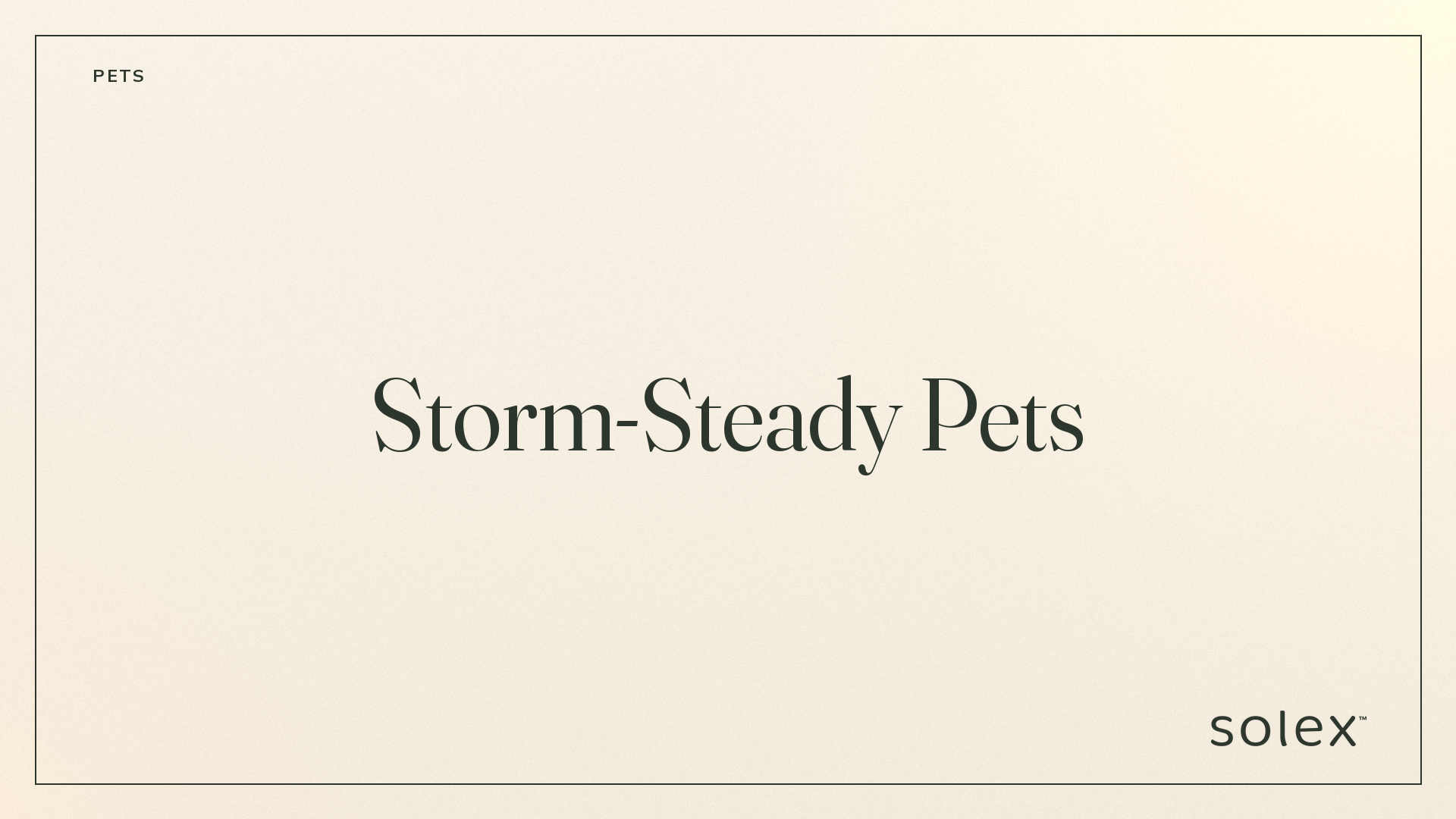 pets_04_storm_steady_pets_cover.png