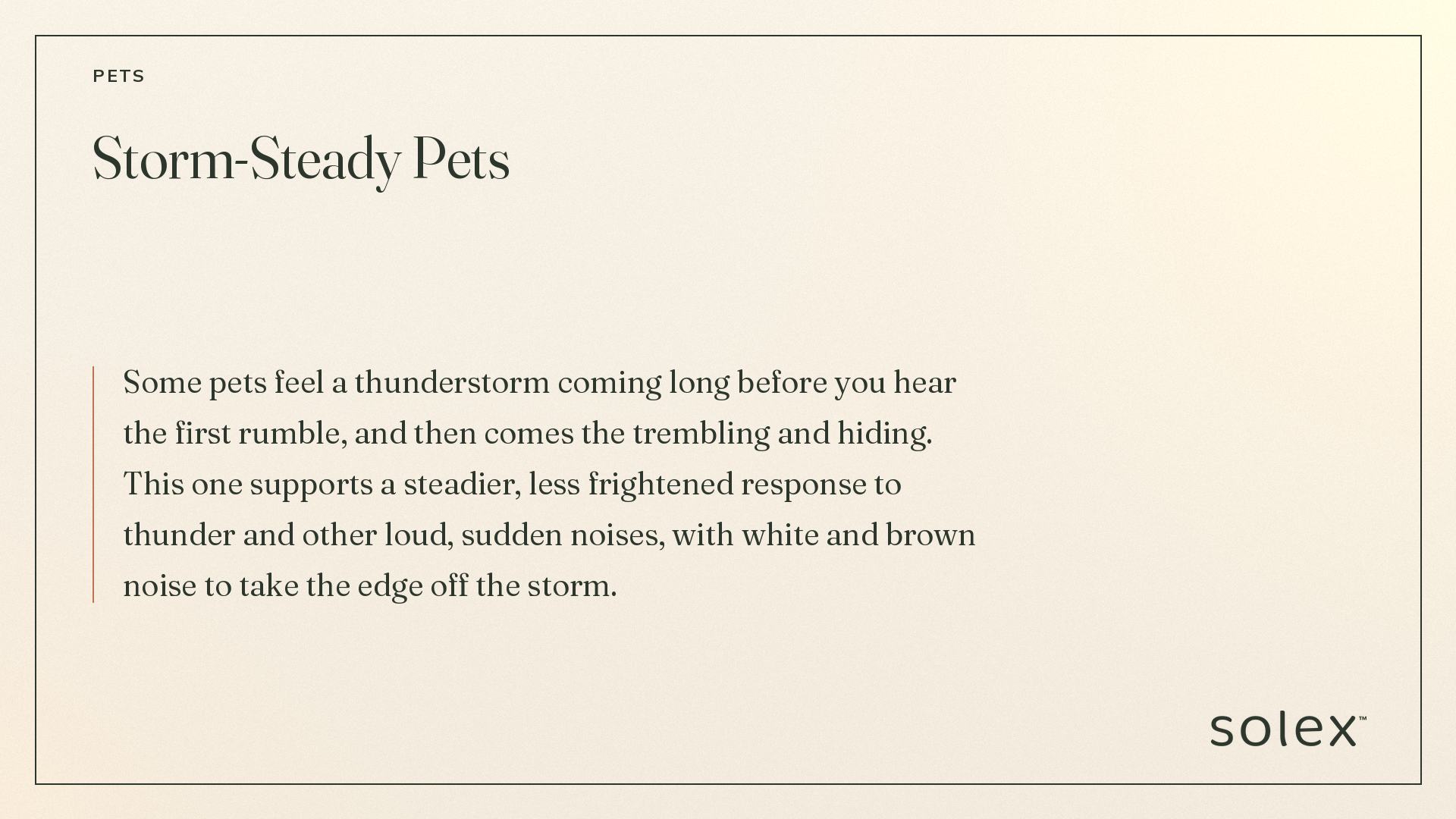 pets_05_storm_steady_pets_description.png
