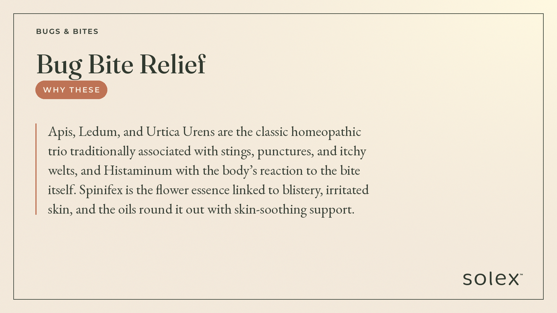 001_bugs__bites_bug_bite_relief_4_whythese.png