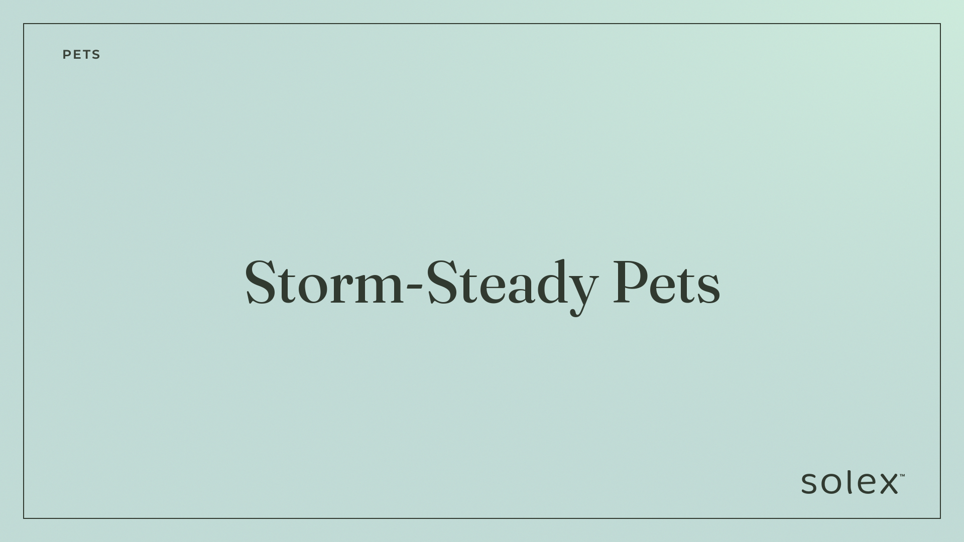 029_pets_storm_steady_pets_1_card.png