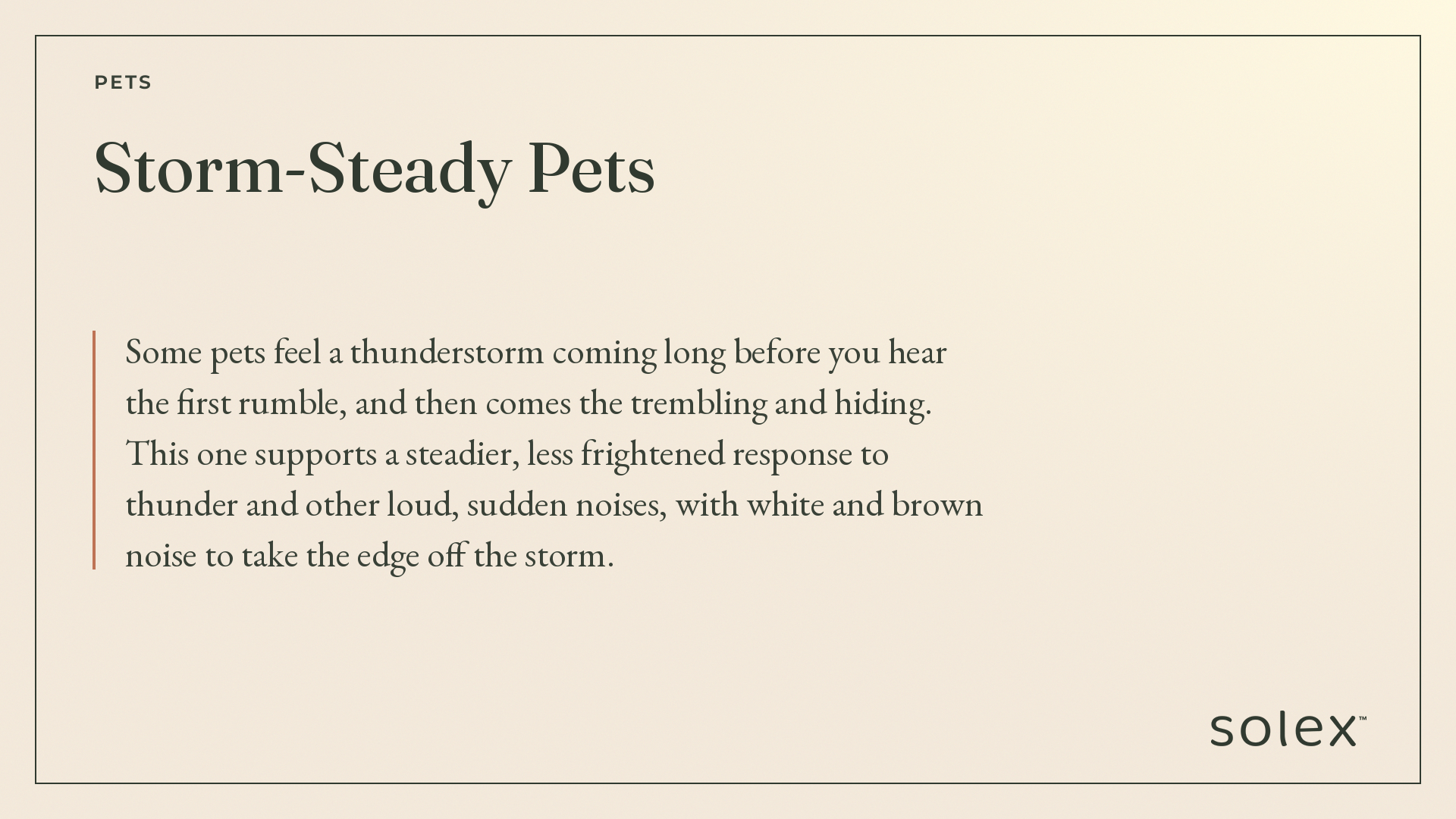 029_pets_storm_steady_pets_2_description.png