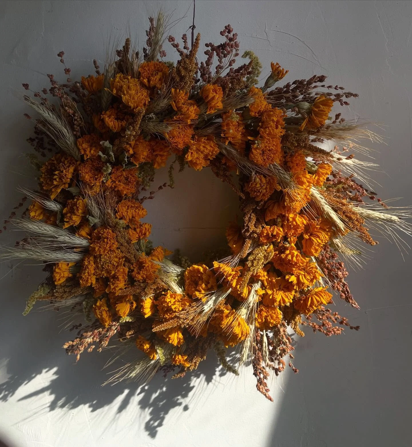 &lsquo;Tis the season 🎃 
I&rsquo;m wreath making in the studio today! Our everlasting wreaths are all lovingly grown, dried, and handcrafted by yours truly, and will last years if kept inside and out of direct sunlight! 
Find our everlasting wreaths