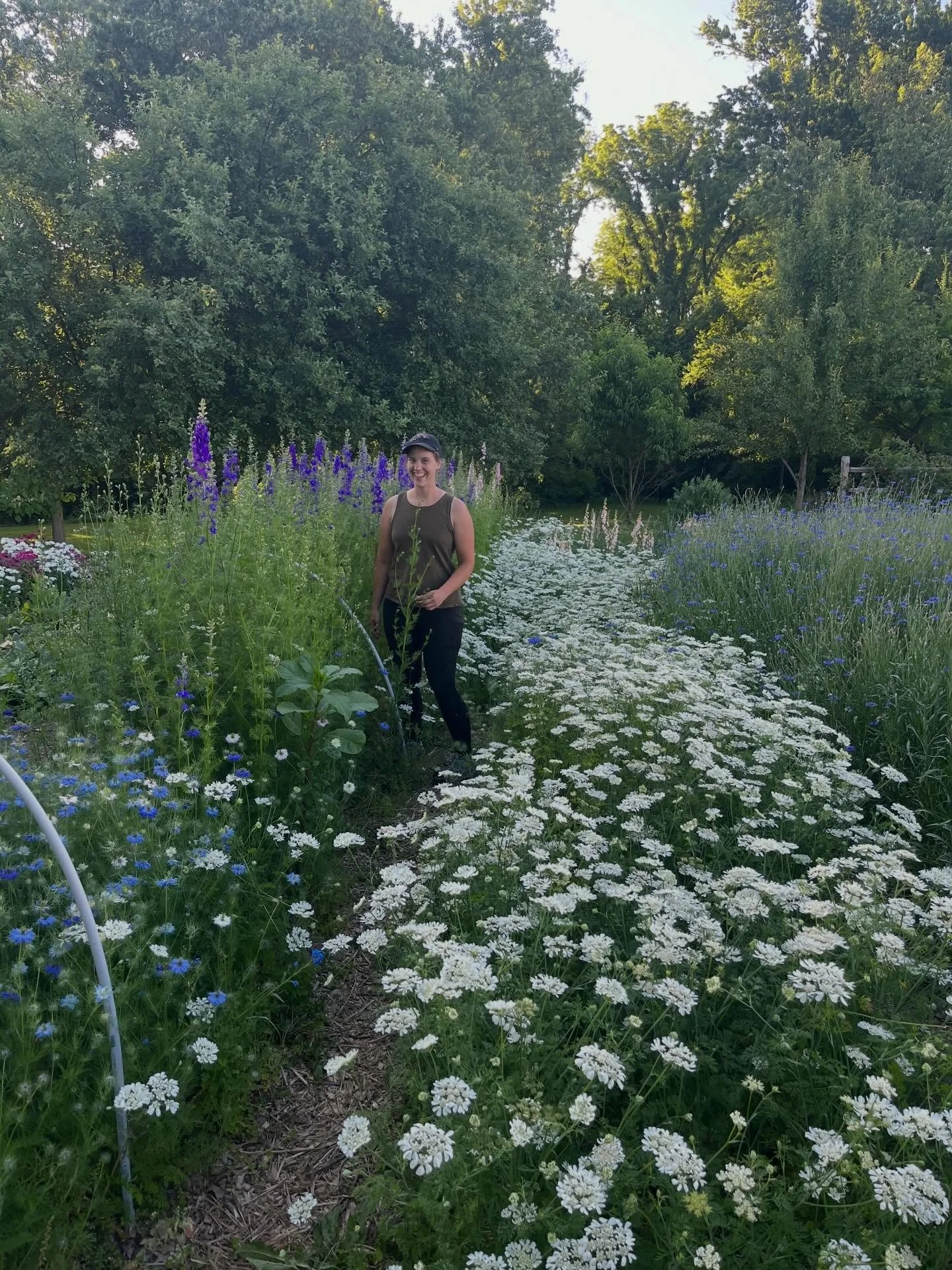 Today is earth day!!
Here at Fairlea, we are always making efforts to be good stewards of our beautiful earth. Now is a more important time than ever to do what we can to protect it!
 In our gardens we avoid harmful chemicals and pesticides and use r