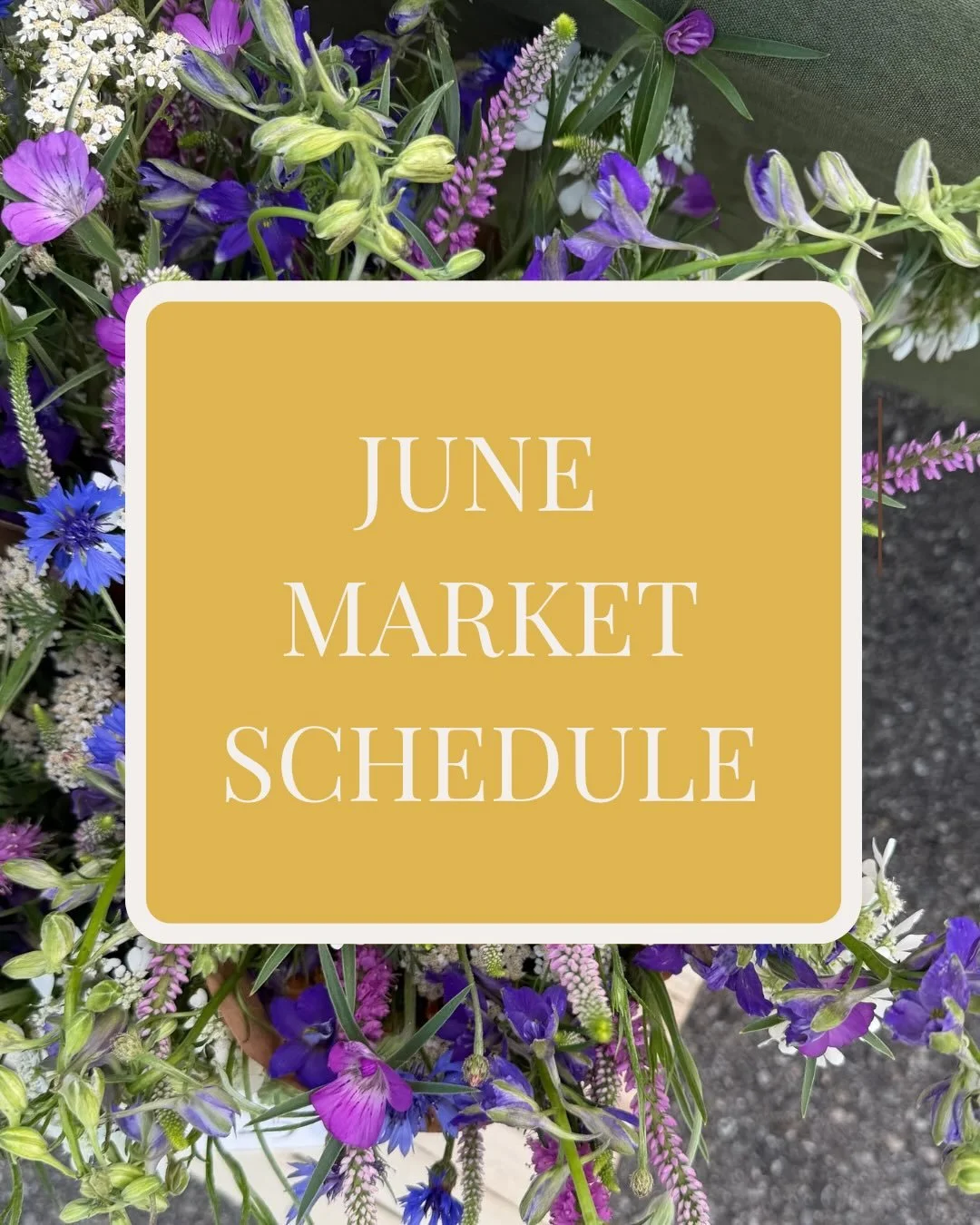 Here are our June market dates: come say hi and grab some farm grown flowers for your table! We will be in Westwood, Blue ash, and Hyde Park this month. Can&rsquo;t wait to see you there! :) 

June 6- @westside_market_cincy 
June 13- @theoffmarket 
J