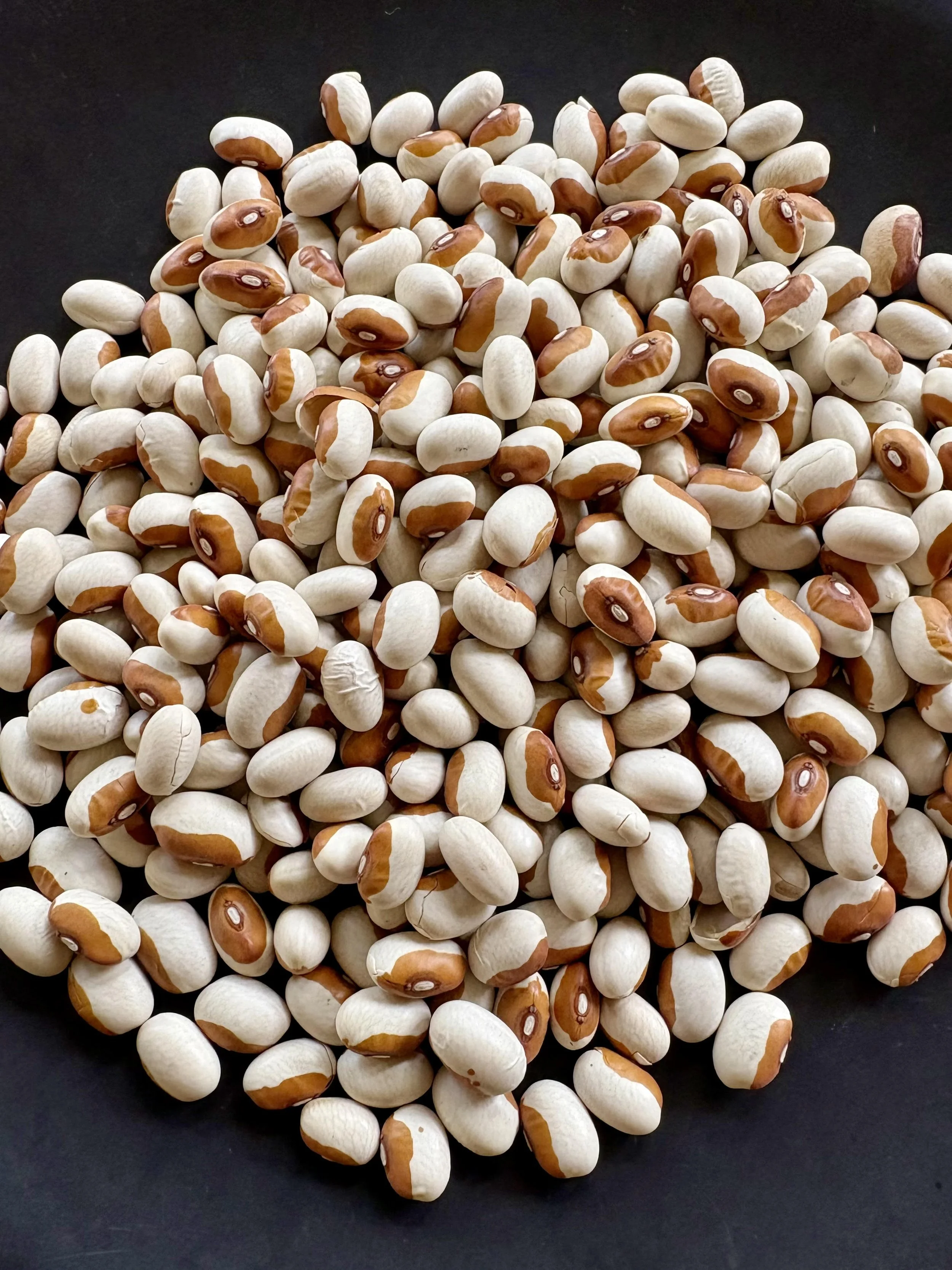 yellow eye beans.jpg