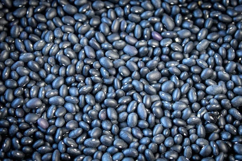 Frozen Midnight Black Bean Soup (GF) *Limited Quantity*