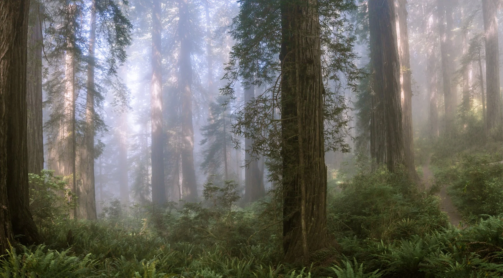 June 2025 | Northern California Fine Art Photography