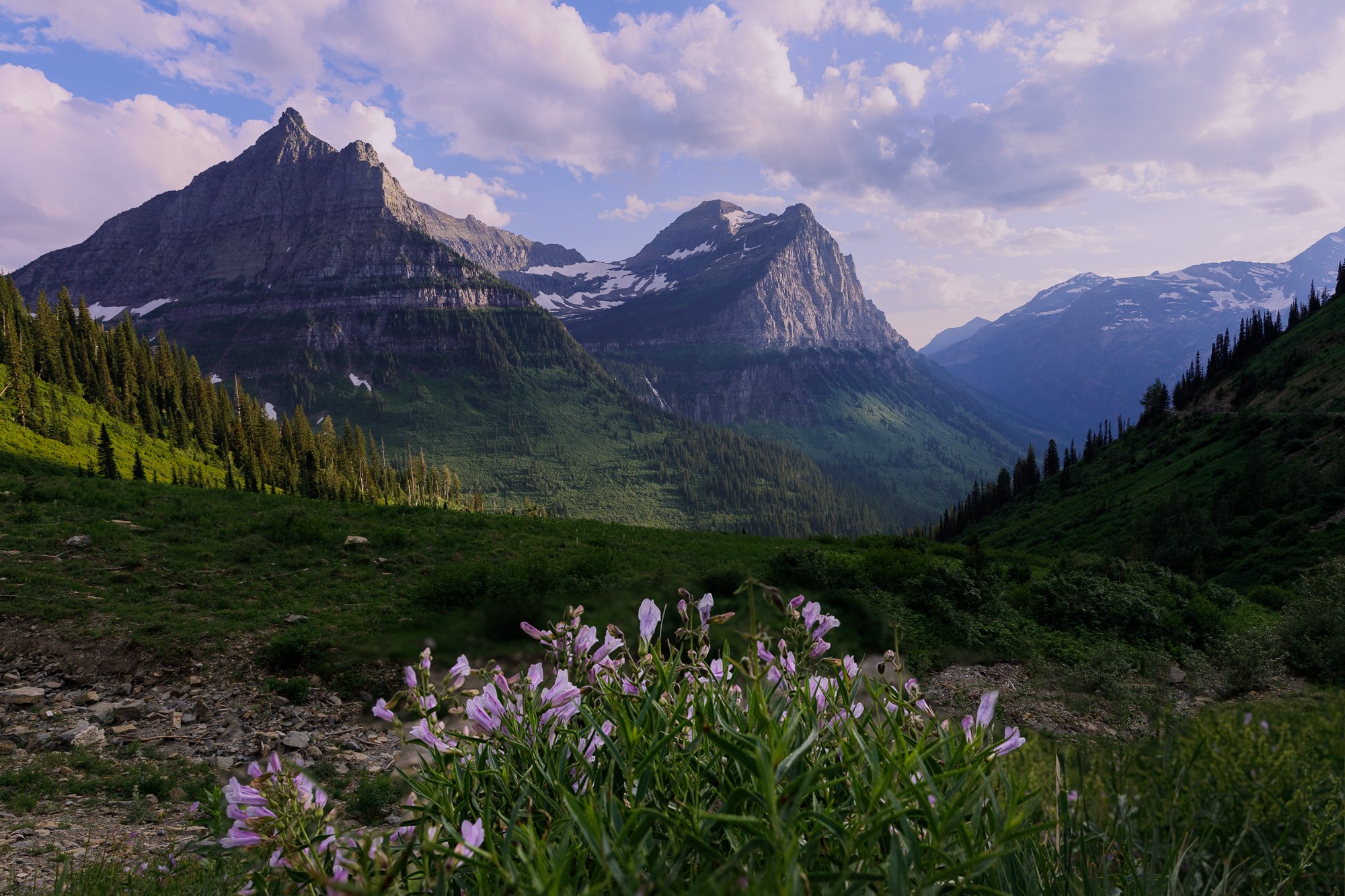 My Montana Visit to Glacier National Park