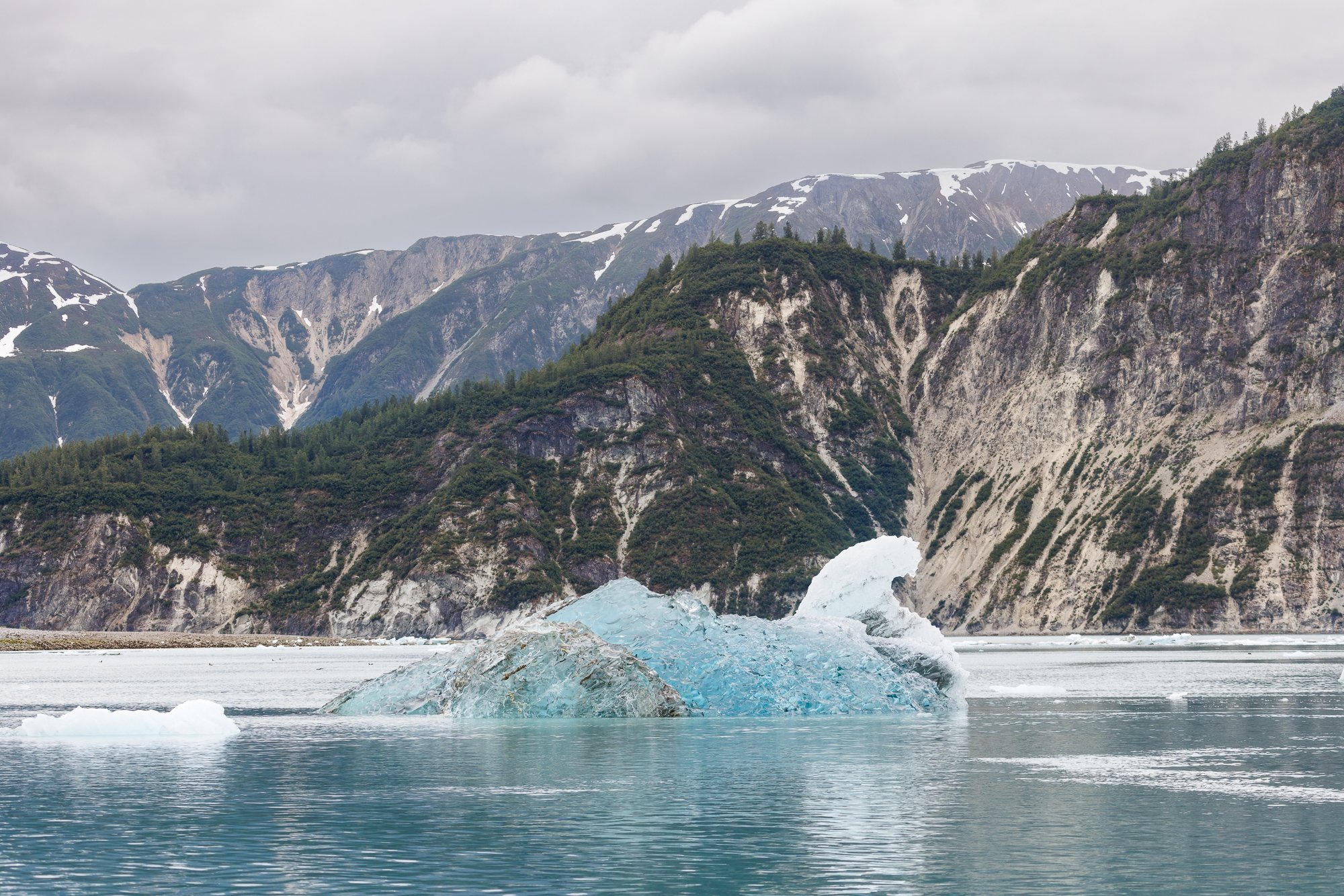 Iceberg-McBride-Inlet©NadeenFlynnPhotography-4026-.jpg