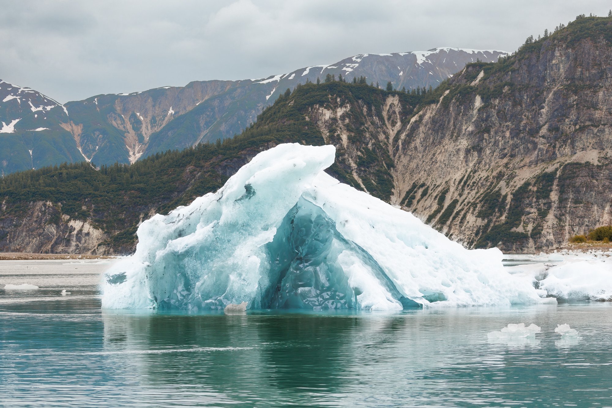 Iceberg-McBride-Inlet©NadeenFlynnPhotography-4027-.jpg