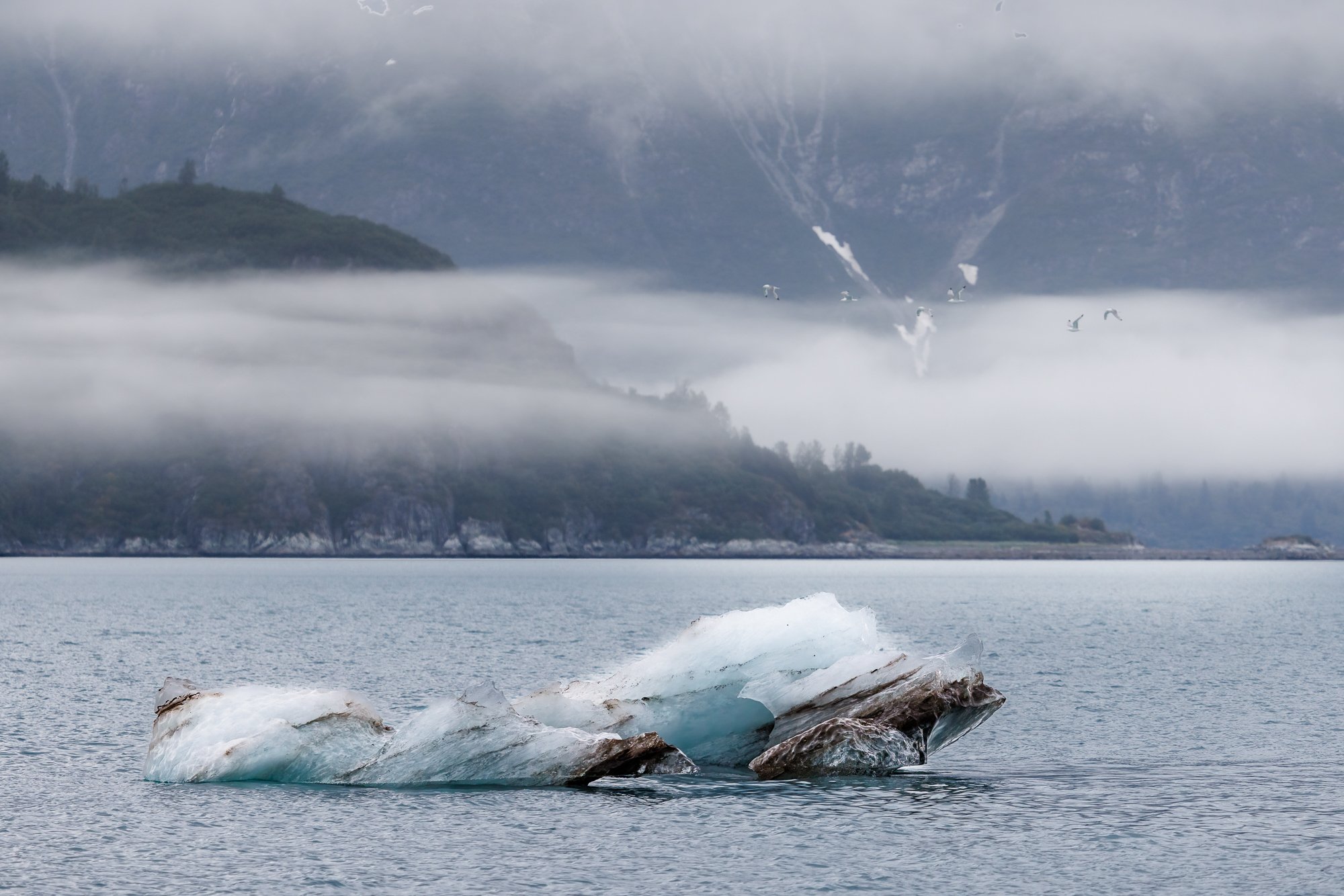 Tarr-Inlet-Iceberg-©NadeenFlynnPhotography-4574-.jpg