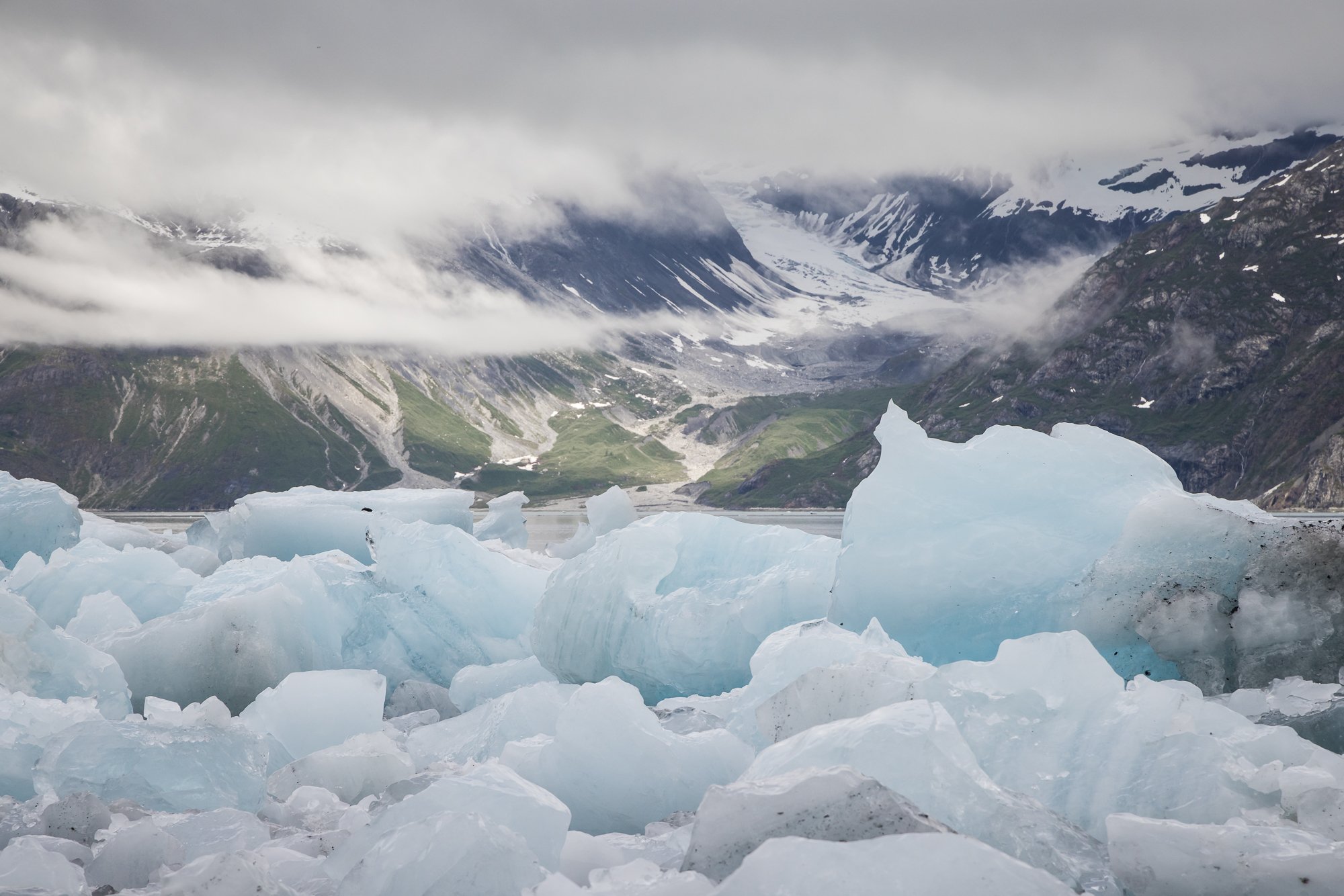 view-beyond-icebergs©NadeenFlynnPhotograpy-4930.jpg