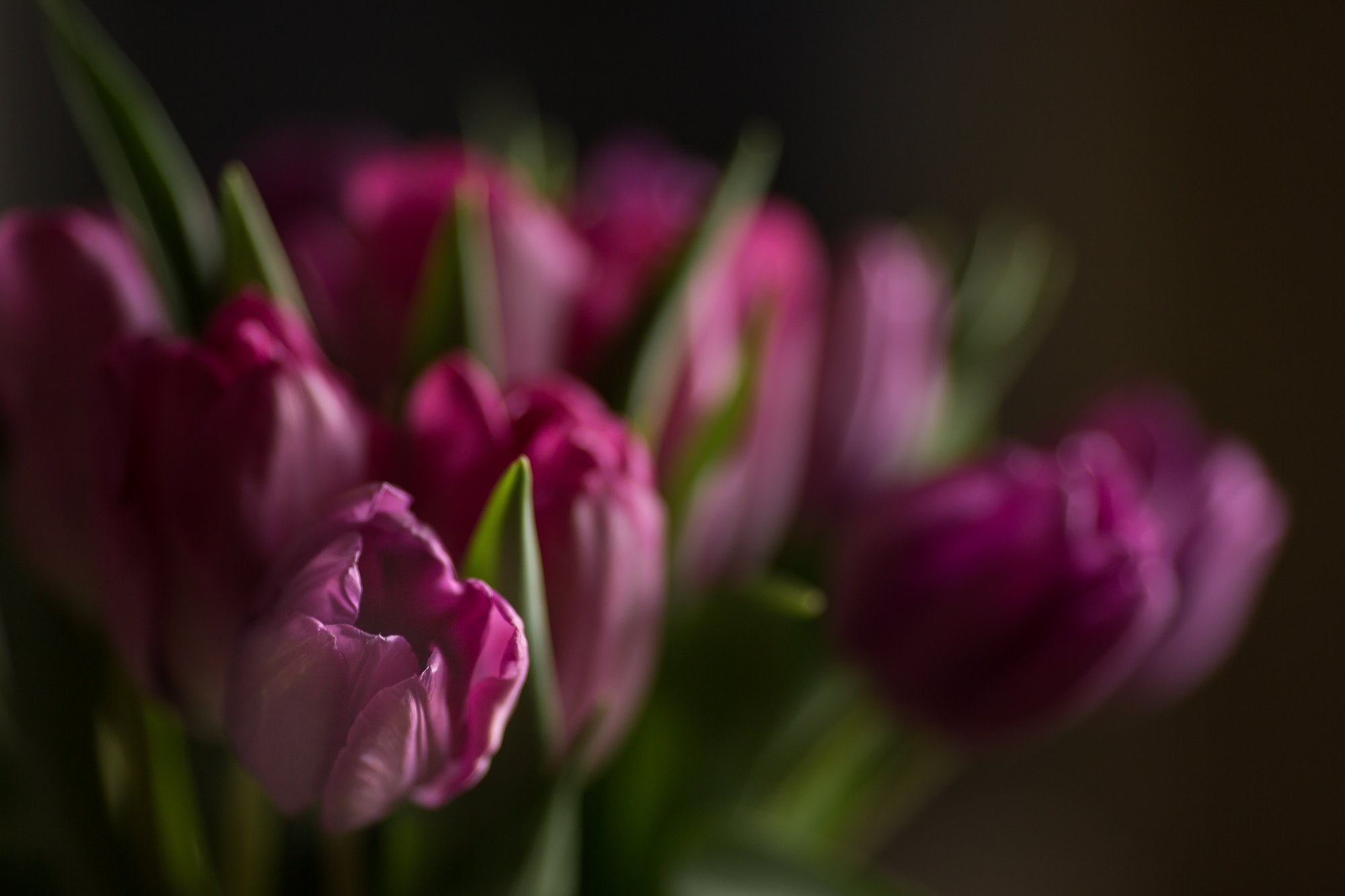 tulip-bouquet©NadeenFlynnPhotography-9083.jpg