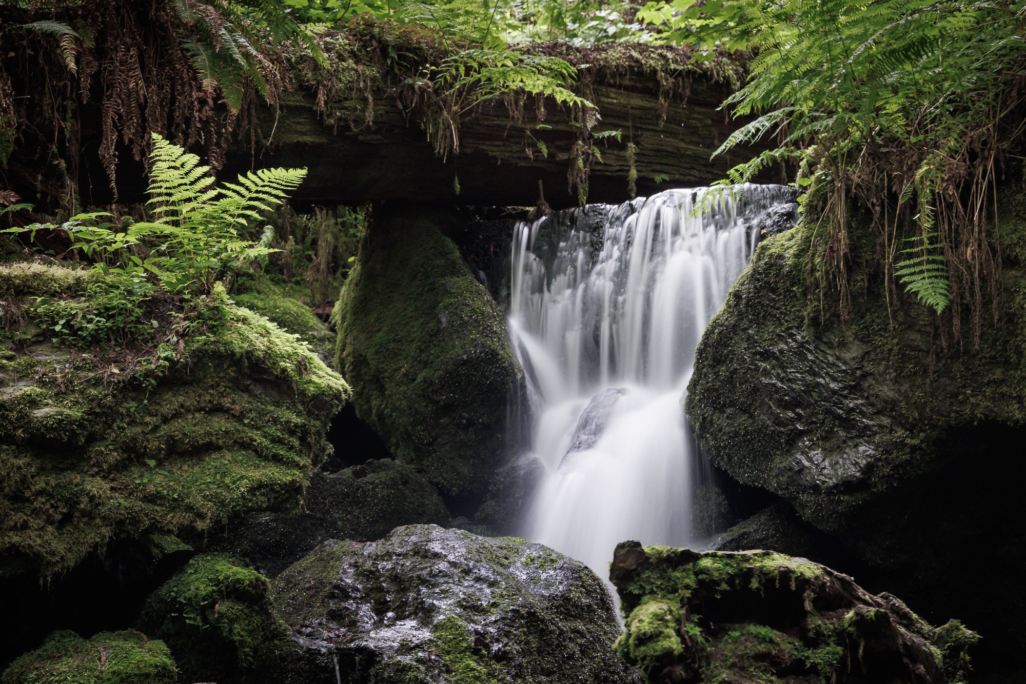 trillium-falls-©NadeenFlynnPhotography-8355.jpg