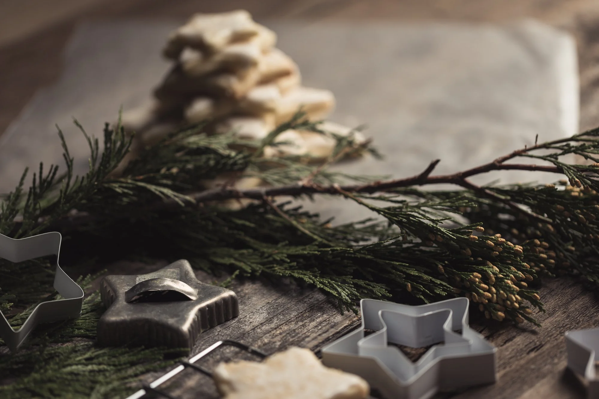 star-cookies-©NadeenFlynnPhotography-4939.jpg