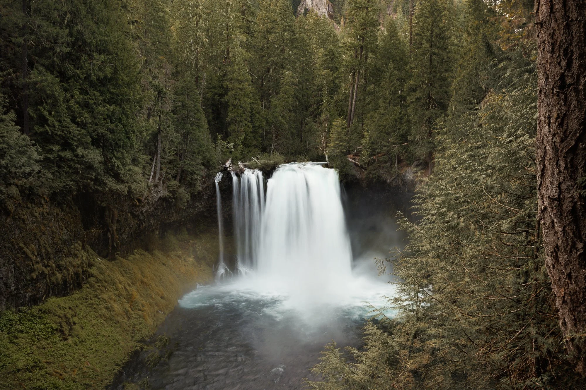 2024Favorites©NadeenFlynnPhotography--4.jpg
