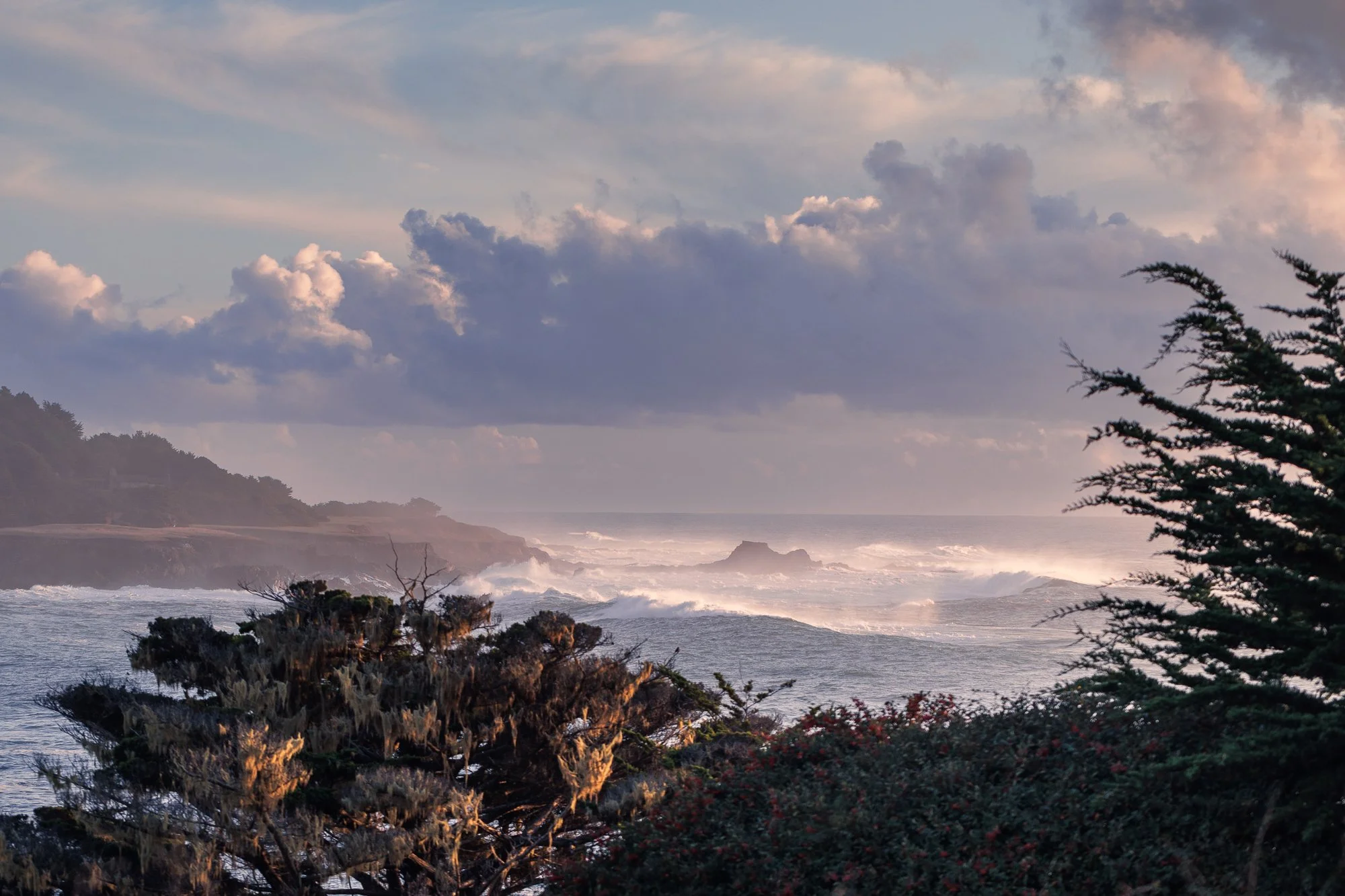 2024Favorites©NadeenFlynnPhotography-0834.jpg