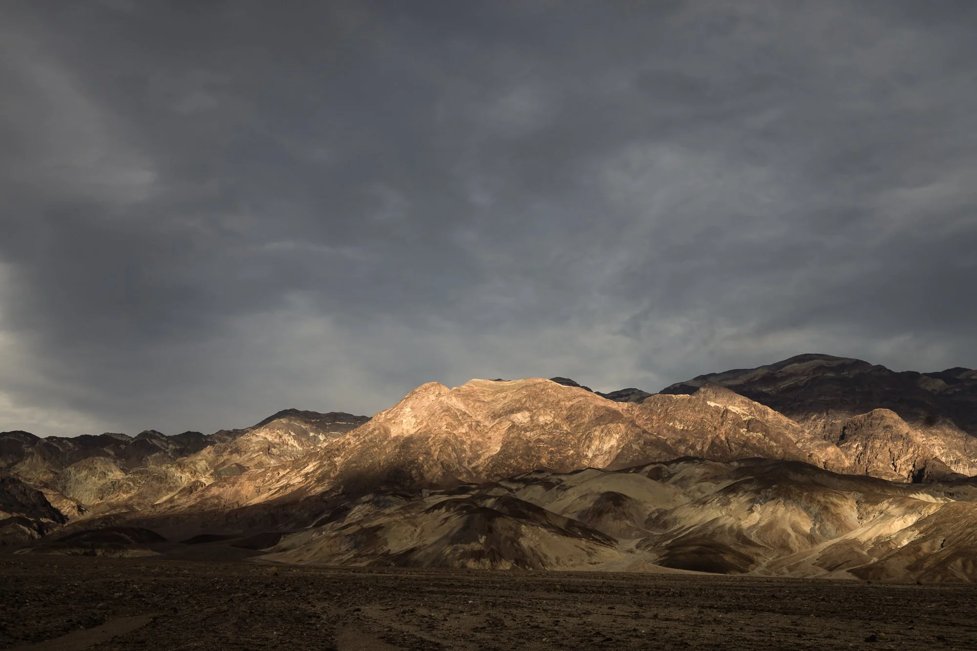 2024Favorites©NadeenFlynnPhotography-2829.jpg