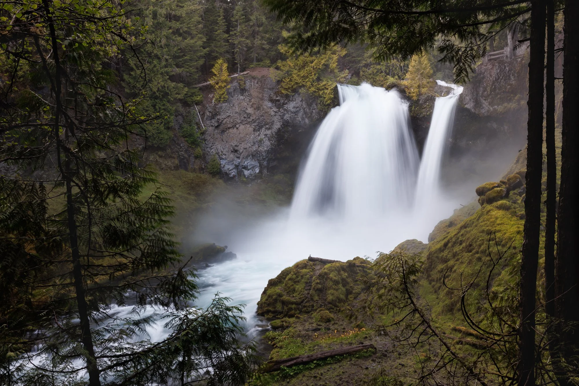 2024Favorites©NadeenFlynnPhotography-4558.jpg