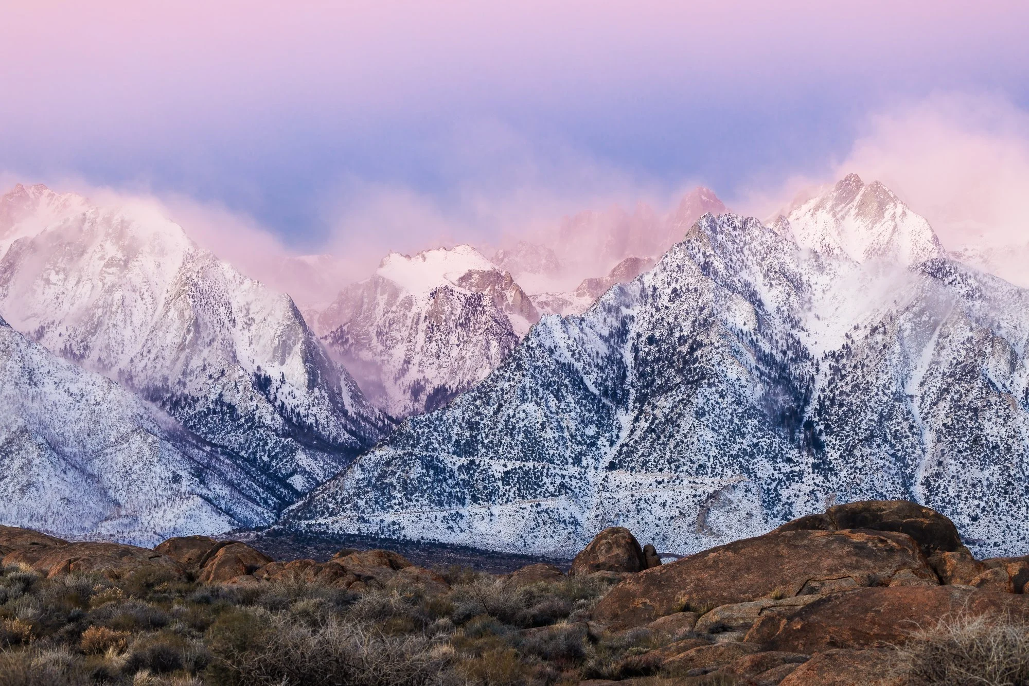 2024Favorites©NadeenFlynnPhotography--2.jpg