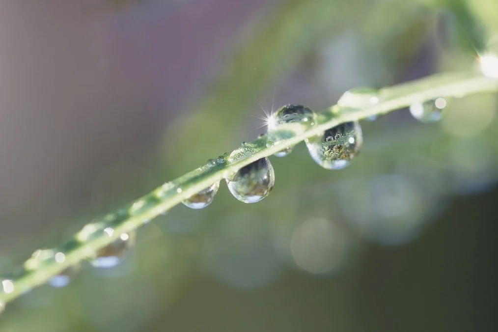 waterdroplets.jpeg