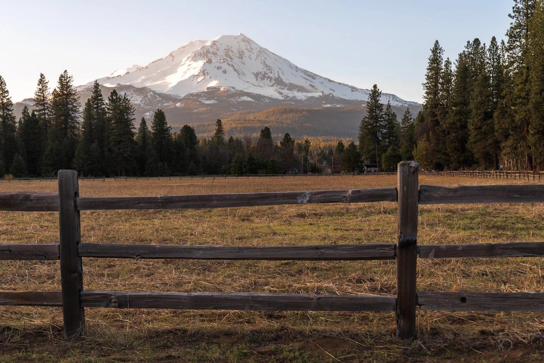 mount-shasta.jpeg