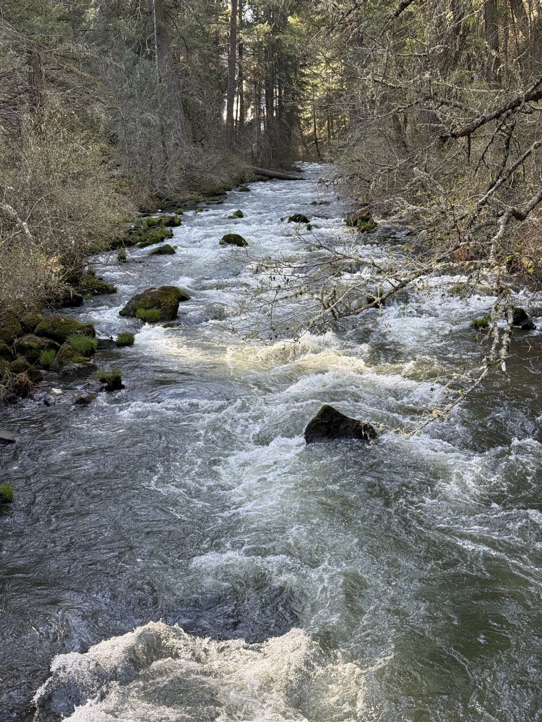 river-cascades.jpeg