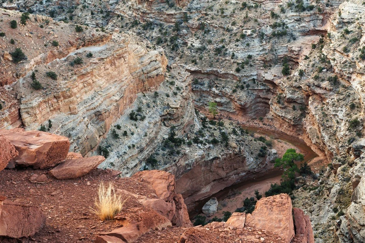 goosenecks-overlook-capitol-reef-np.jpeg