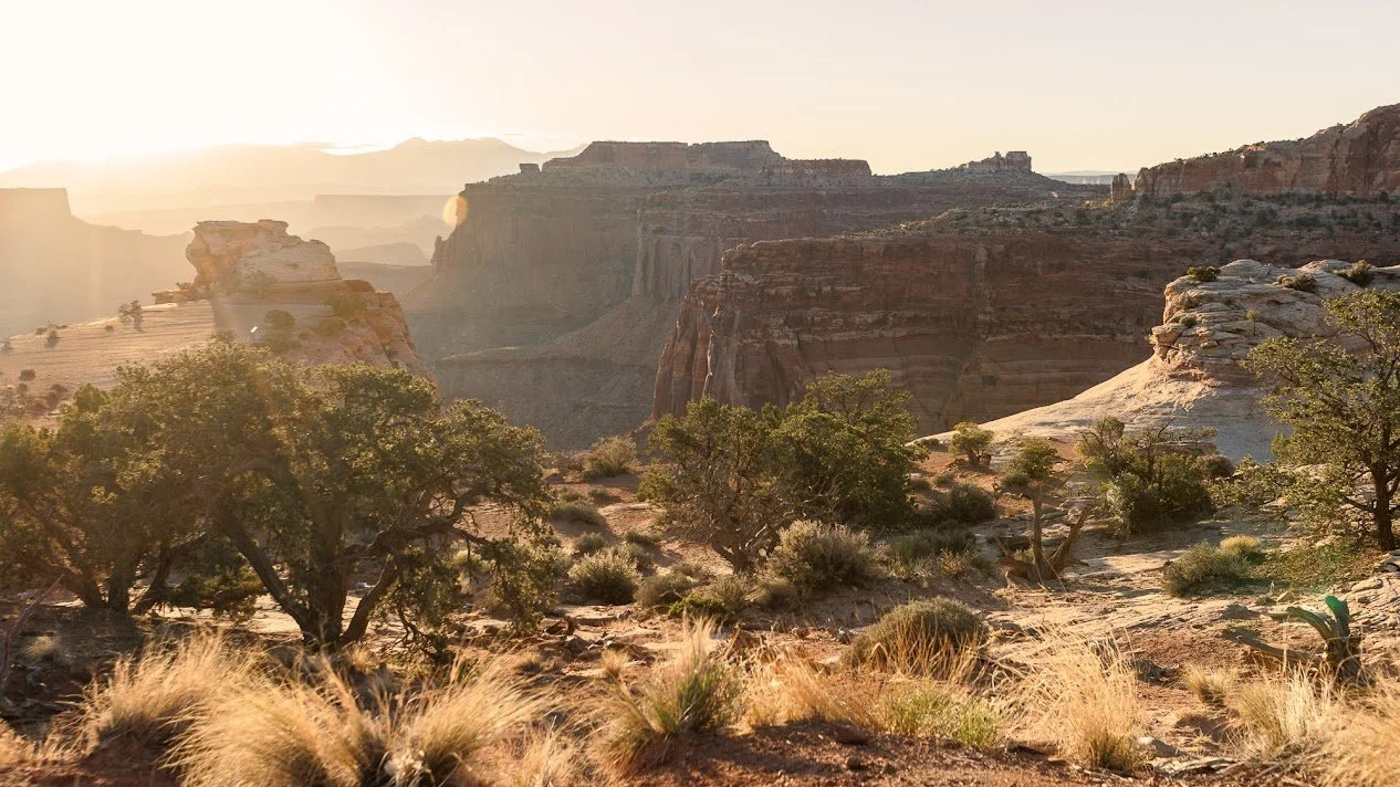 morning-sun-canyonlands-national-park.jpeg