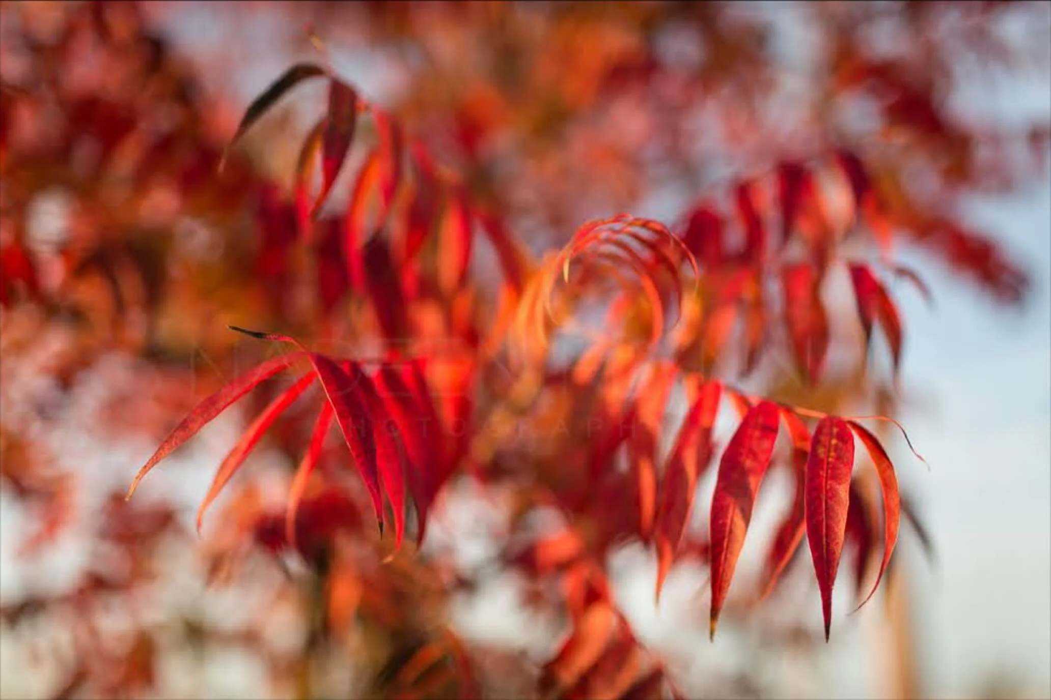 The artistry of Mother Nature always amazes!