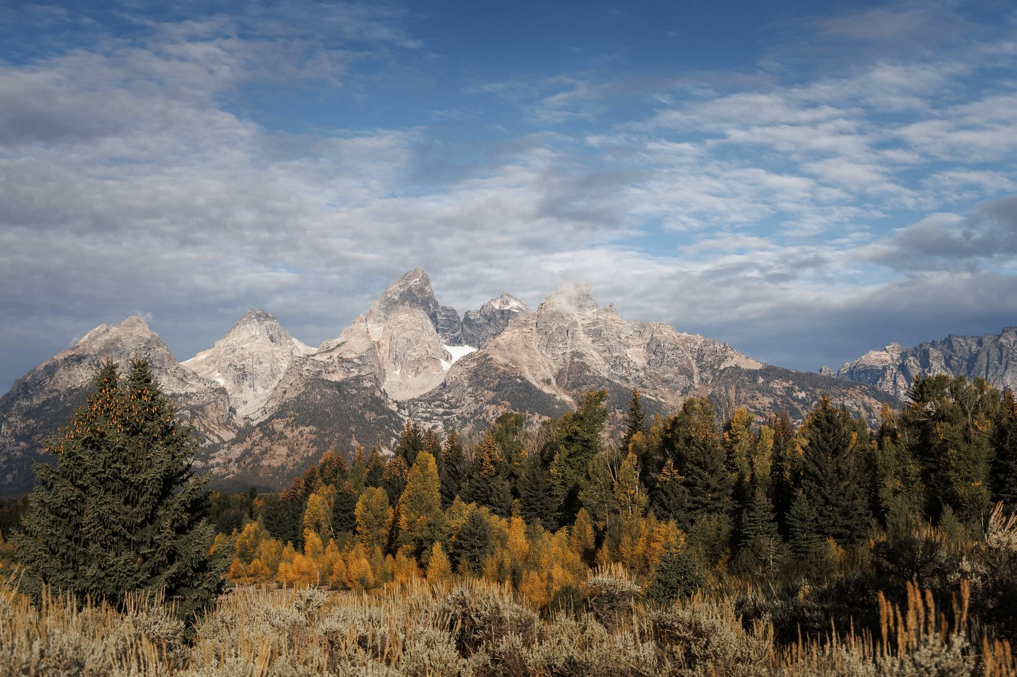 Pre-Autumn in Grand Teton National Park, a beautiful blend of jagged granite peaks and the hint of fall color just beginning to emerge.
