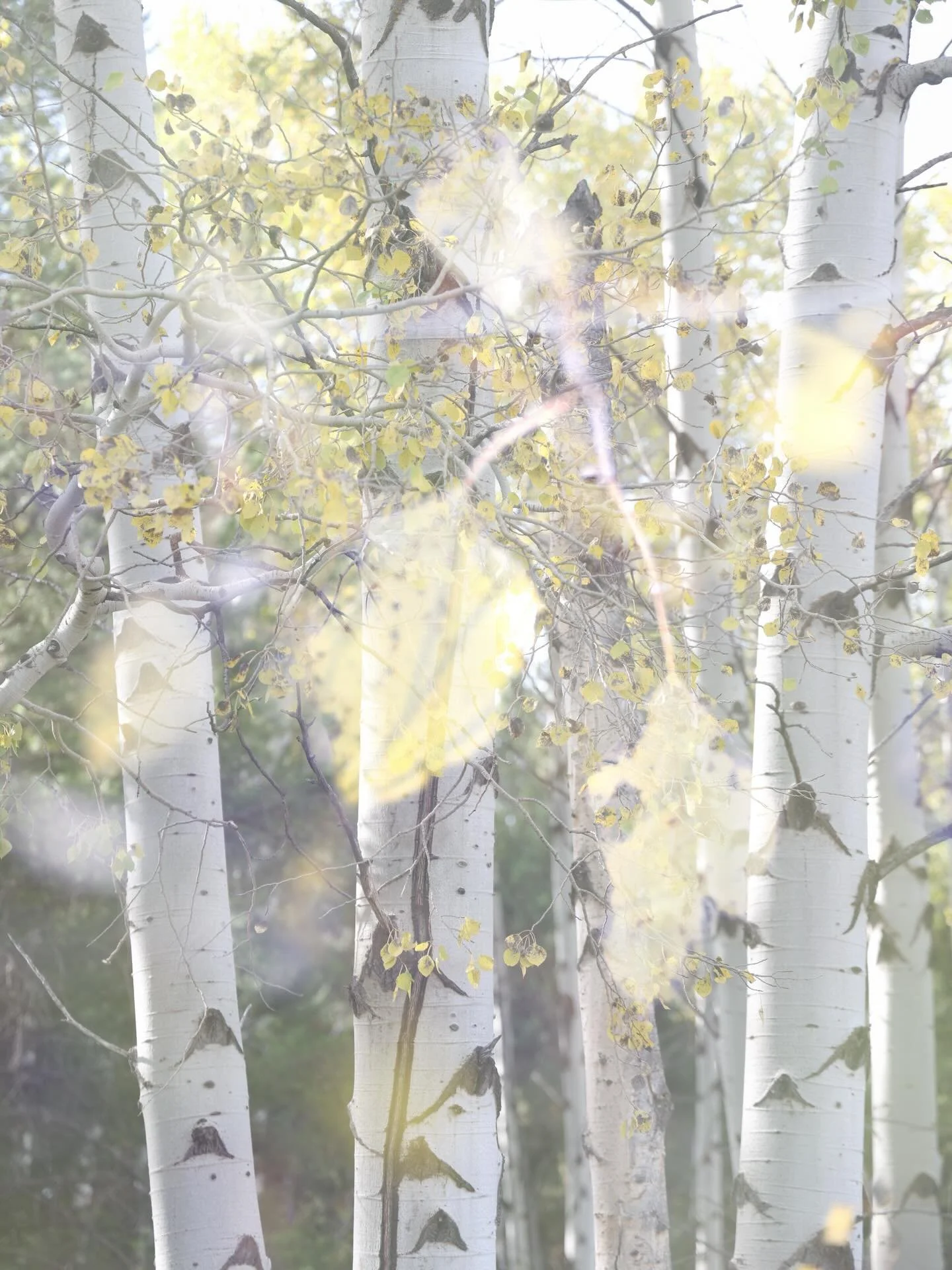 A little play with in-camera double exposures.