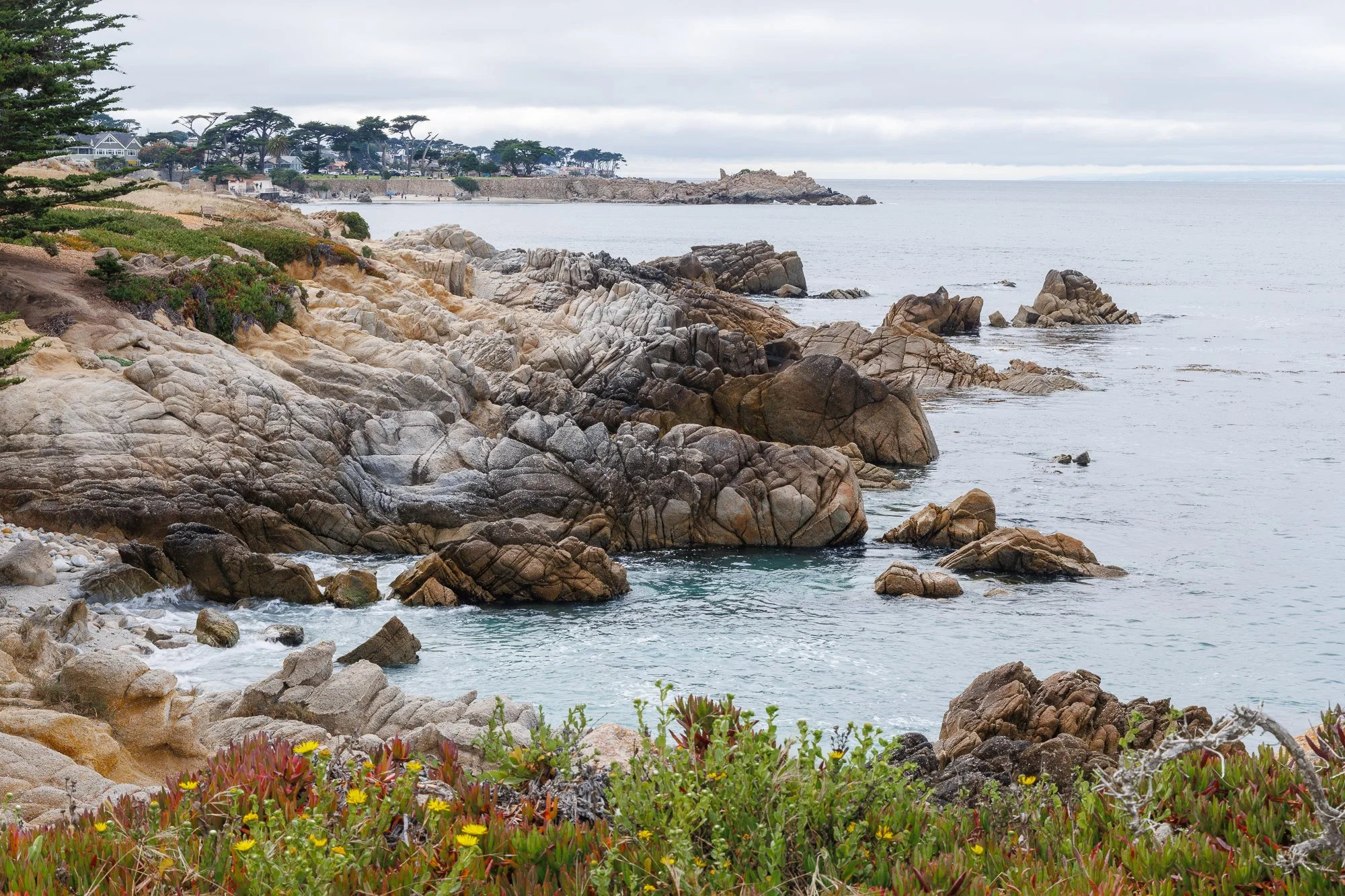rocky-coast-asilomar-©NadeenFlynnPhotography-2766.jpg