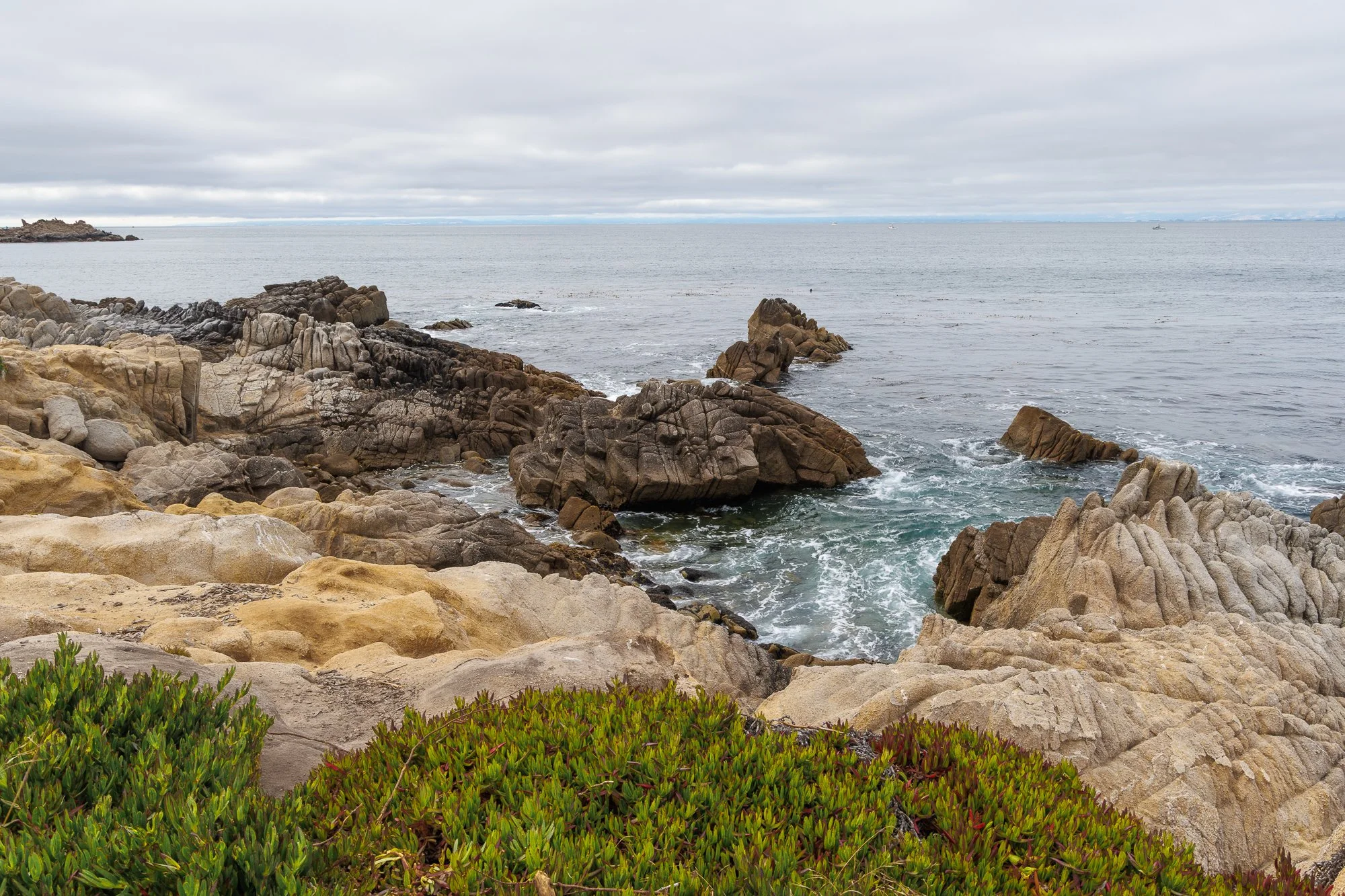 rocky-coast-asilomar-©NadeenFlynnPhotography-2773.jpg