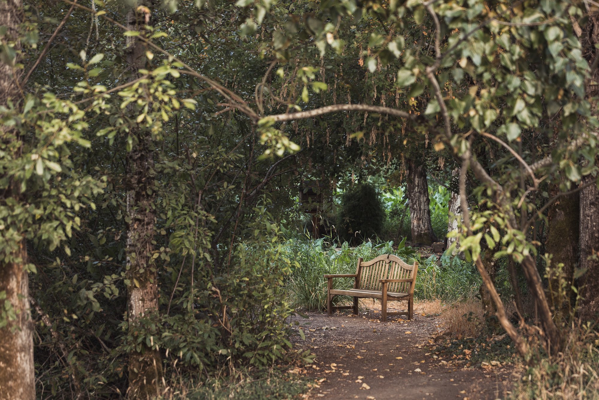 bench-OR-garden-resort-©NadeenFlynnPhotography-1881.jpg