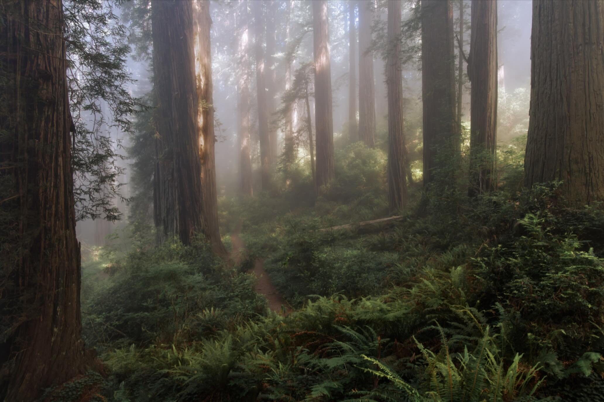 Mystical, Magical

A little moment of Zen.
Deep breath, take it all in, absorb nature at its best.