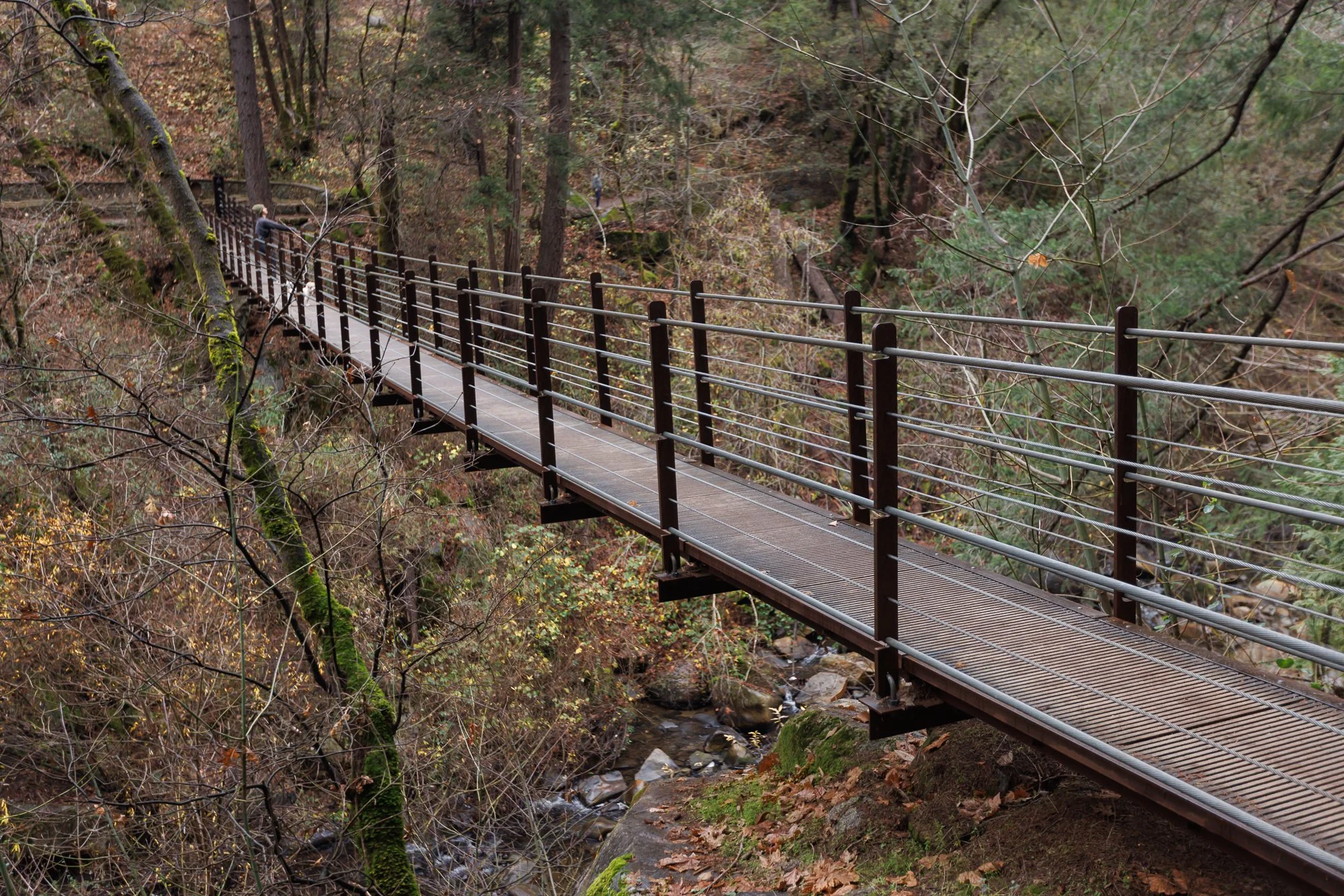 footbridge-deer-creek-nevada-city-©NadeenFlynnPhotography-4784.jpg