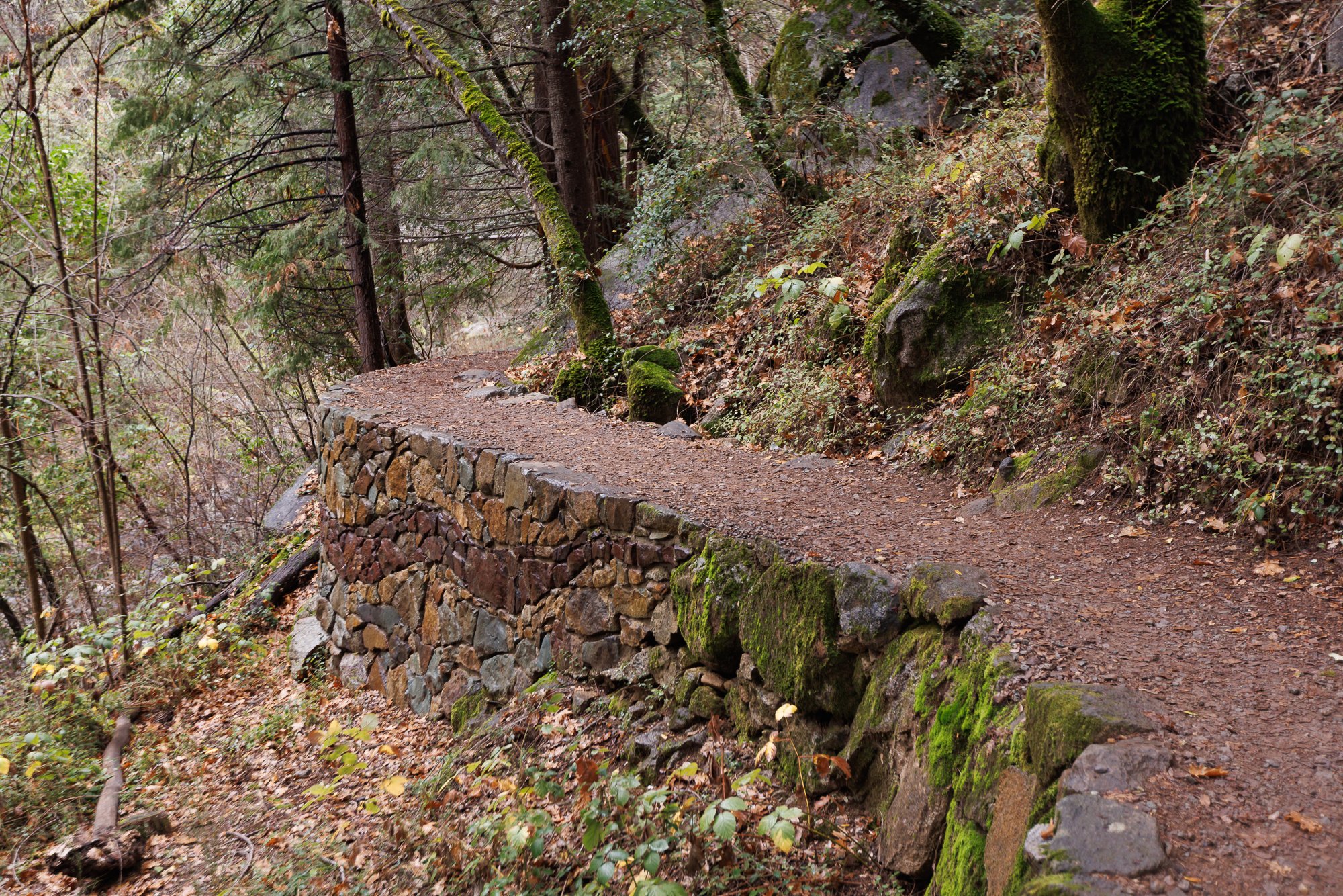 trail-deer-creek-nevada-city-©NadeenFlynnPhotography-4771.jpg