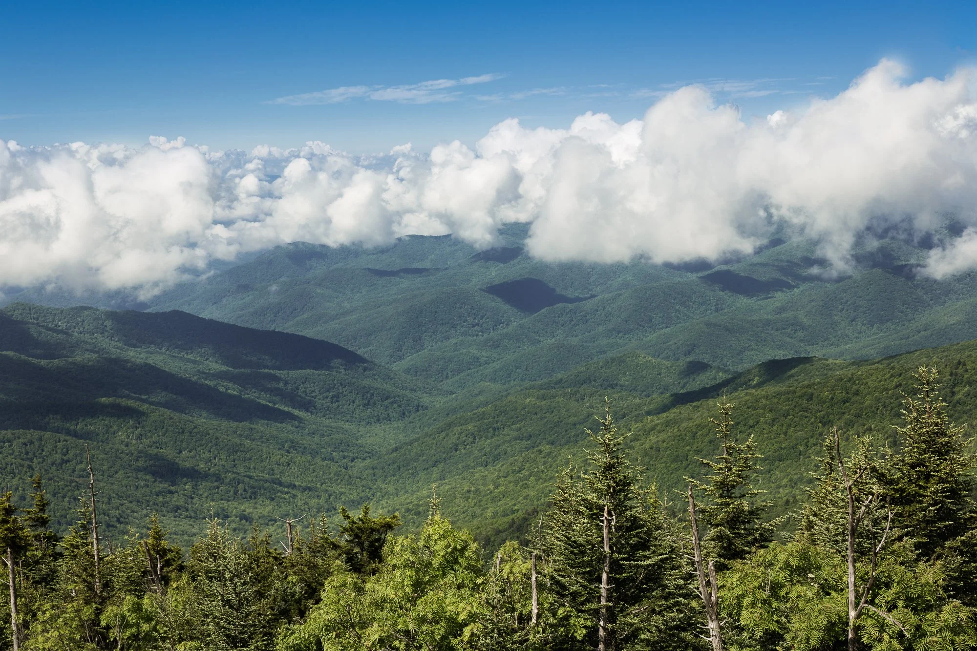 view of the Smoky Mountains from a mountain ridge