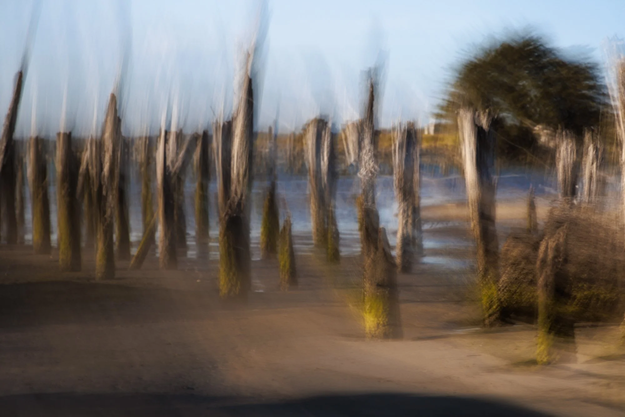 decaying pier pillars